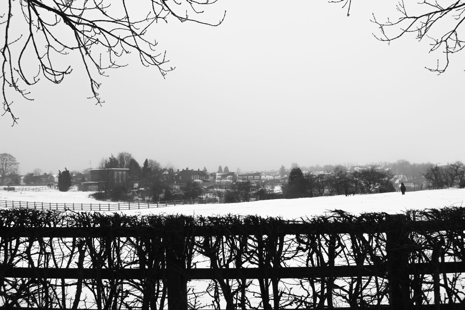 Nikon D3300 sample photo. Background, environment, fence photography