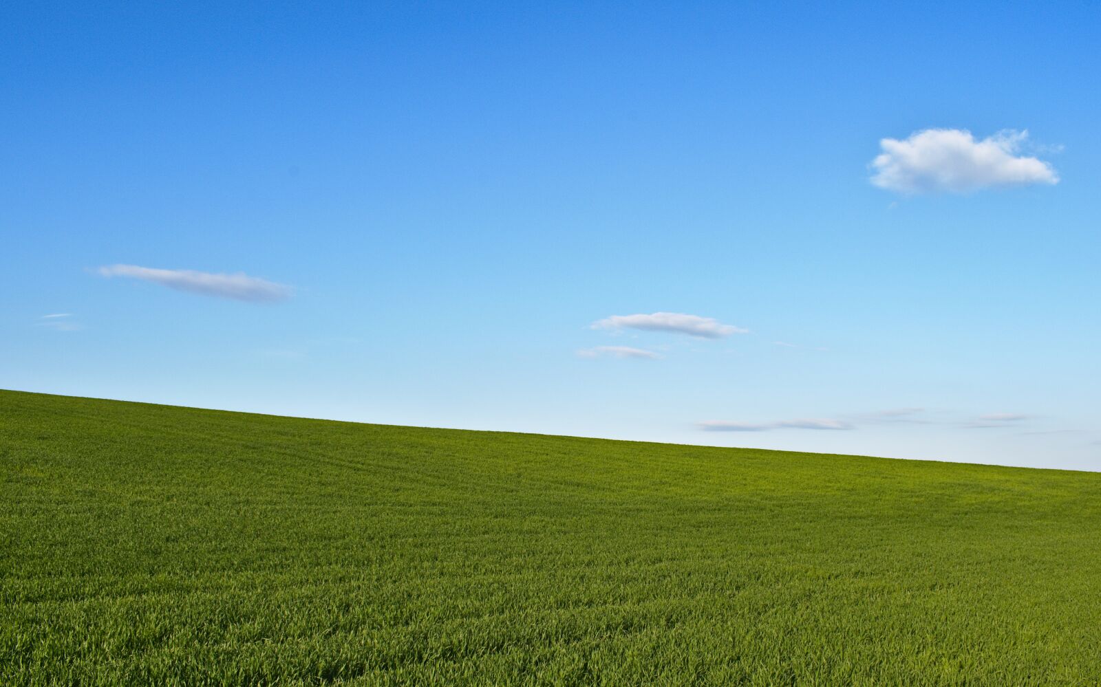 Nikon D5600 sample photo. Cloud, clouds, heaven photography