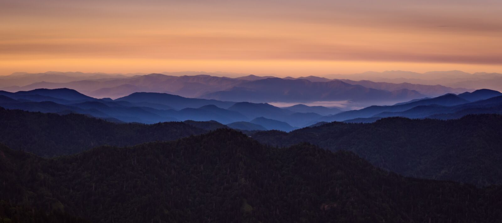 30mm F1.4 DC DN | Contemporary 016 sample photo. Dawn, fog, landscape photography