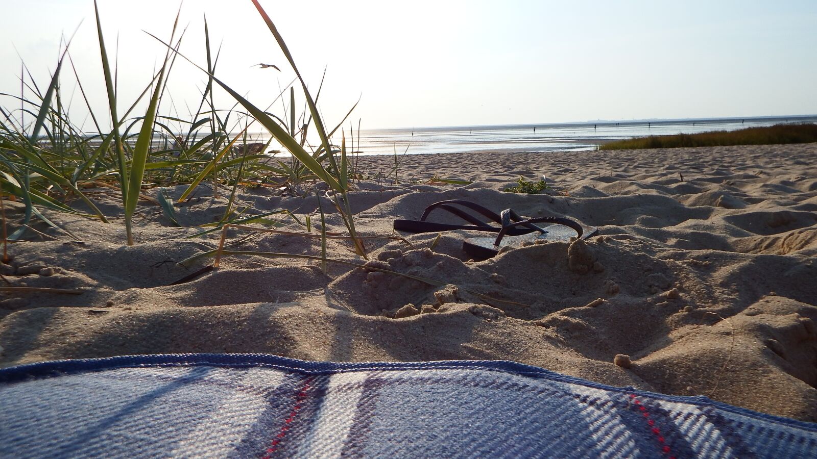 Fujifilm FinePix SL1000 sample photo. Beach, cuxhaven, sea photography