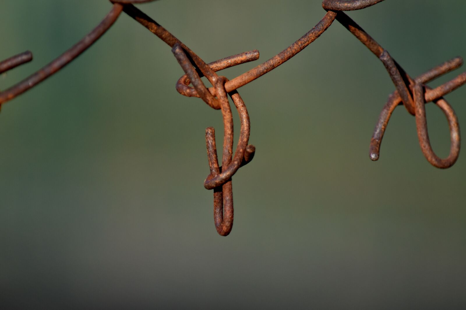 Nikon D5500 sample photo. Fence, rust, wires, line photography