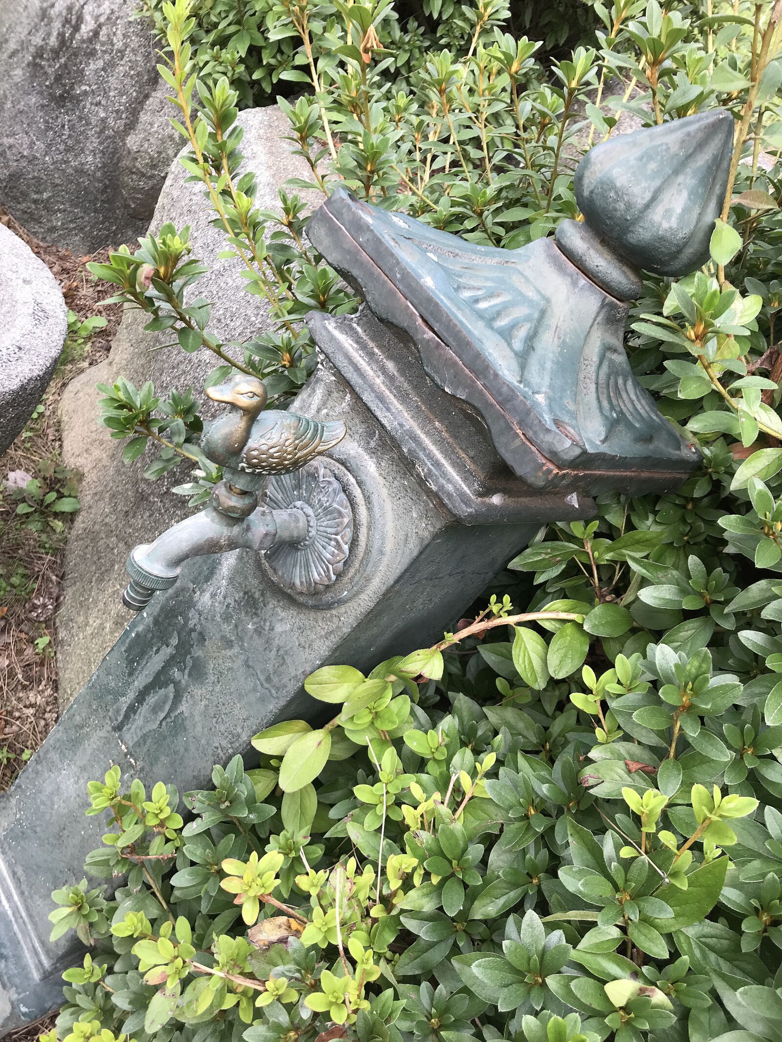 iPhone 7 back camera 3.99mm f/1.8 sample photo. Metal, faucet, plumbing photography