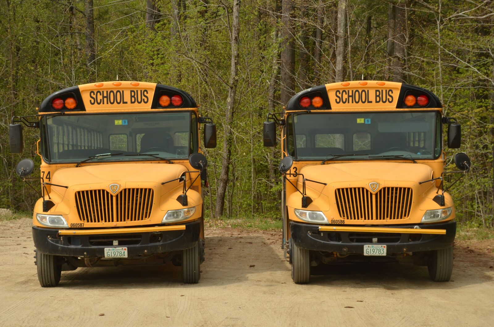 Nikon D7000 sample photo. America, bus, schoolbus photography