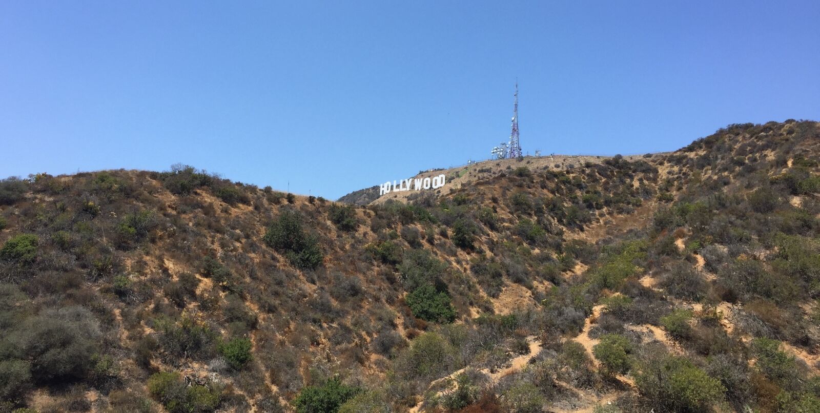 Apple iPhone 6 sample photo. Hollywood sign, la, hollywood photography