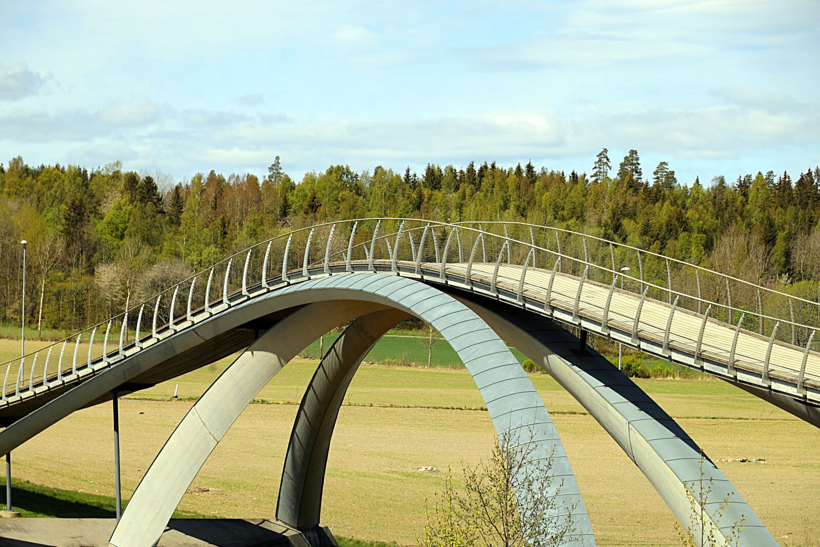 Canon EOS R sample photo. Bridge, landscape, trees photography