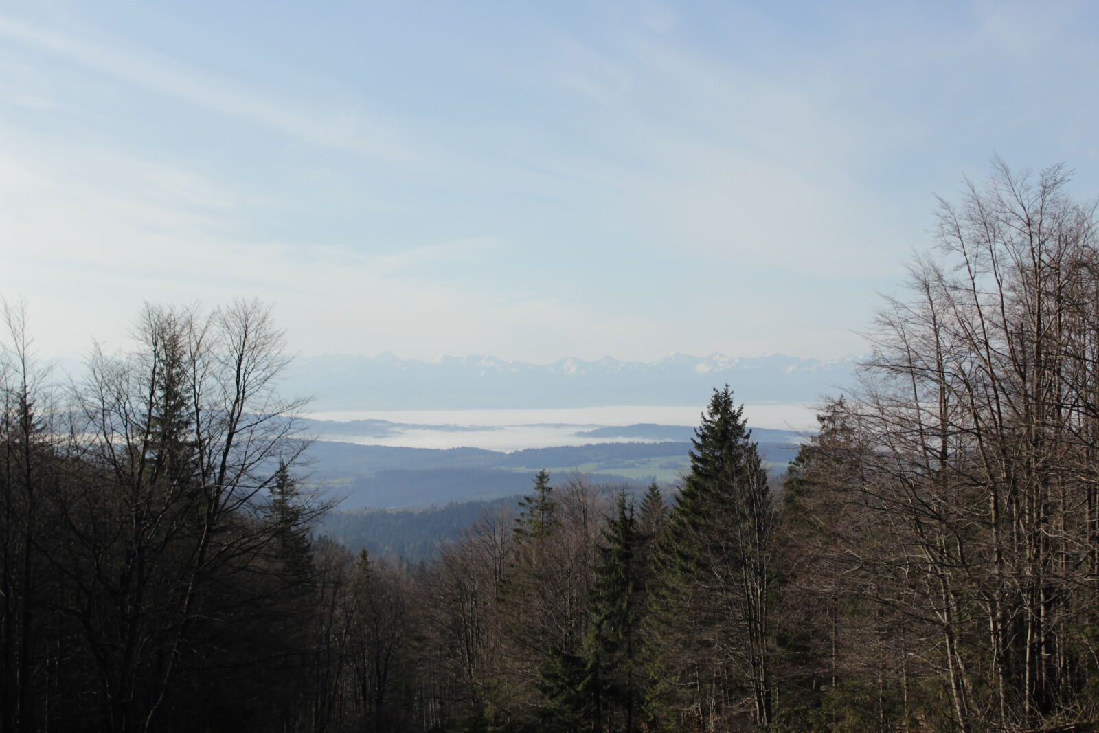 Canon EOS 1200D (EOS Rebel T5 / EOS Kiss X70 / EOS Hi) sample photo. Fog, high, tatras, landscape photography