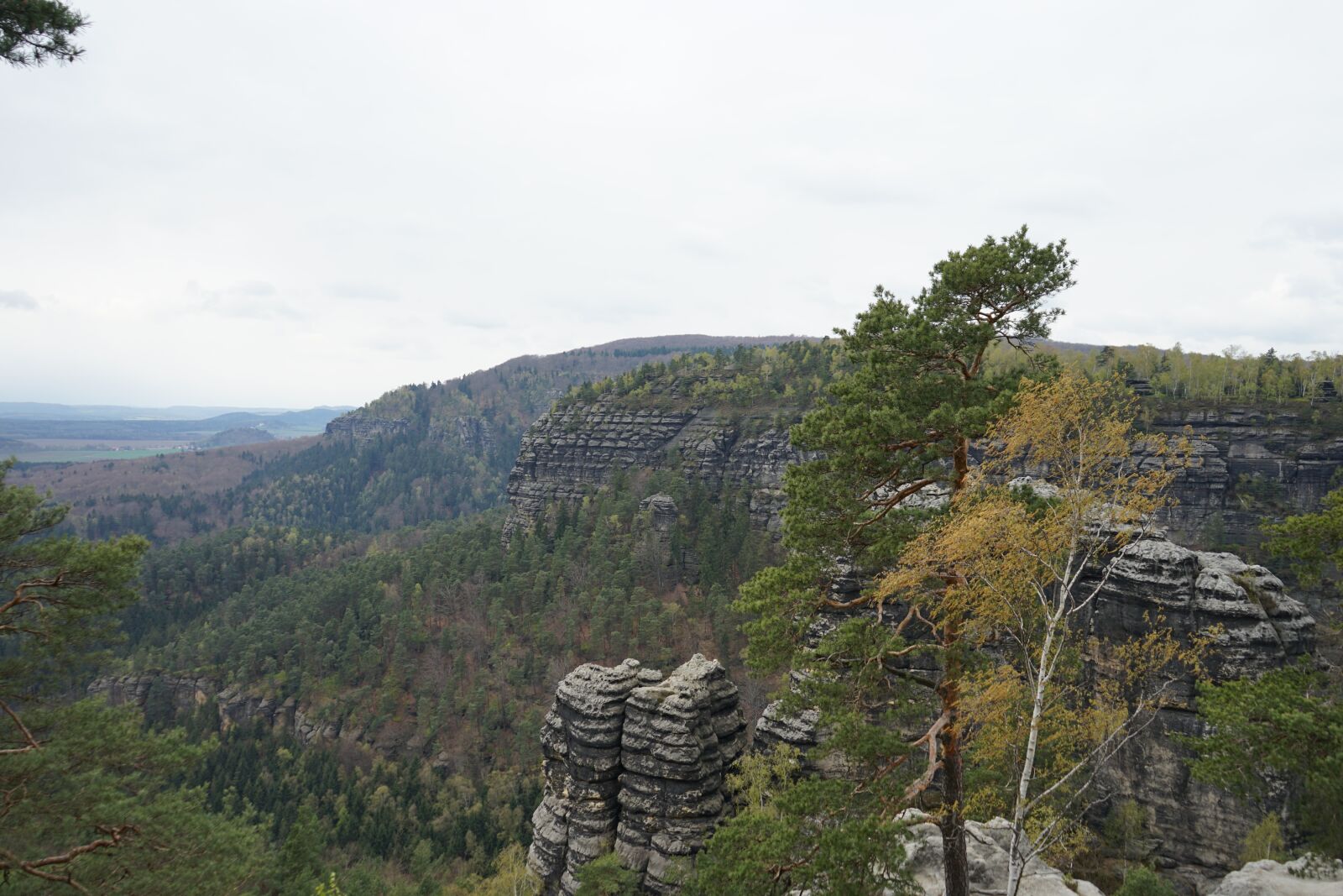 Sony a7 II + Sony FE 28-70mm F3.5-5.6 OSS sample photo. Bohemian switzerland, cz, rock photography