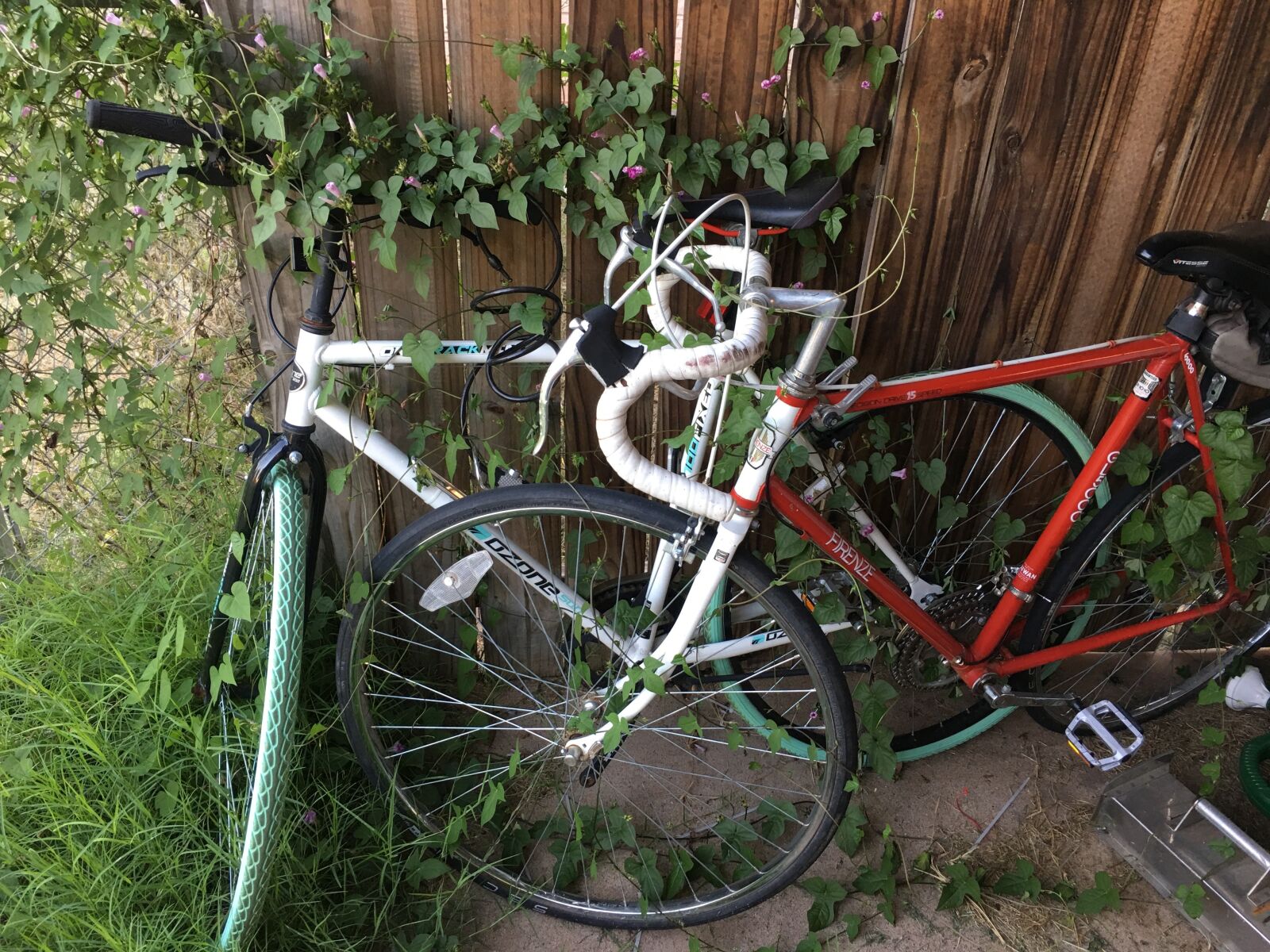 Apple iPhone 6s Plus sample photo. Bike, bicycle, vine photography