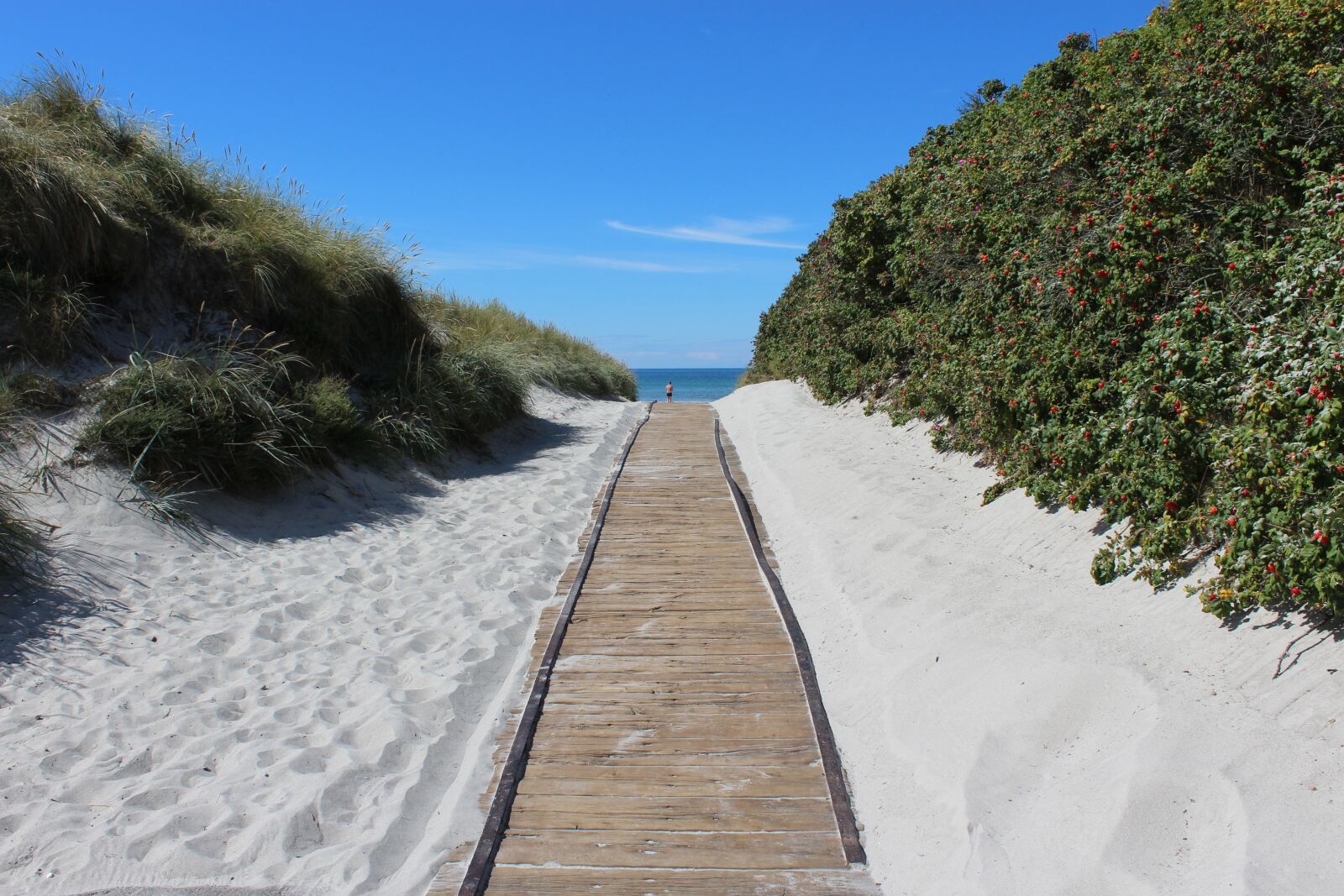 Canon EOS 1200D (EOS Rebel T5 / EOS Kiss X70 / EOS Hi) sample photo. Beach, sand, ocean photography