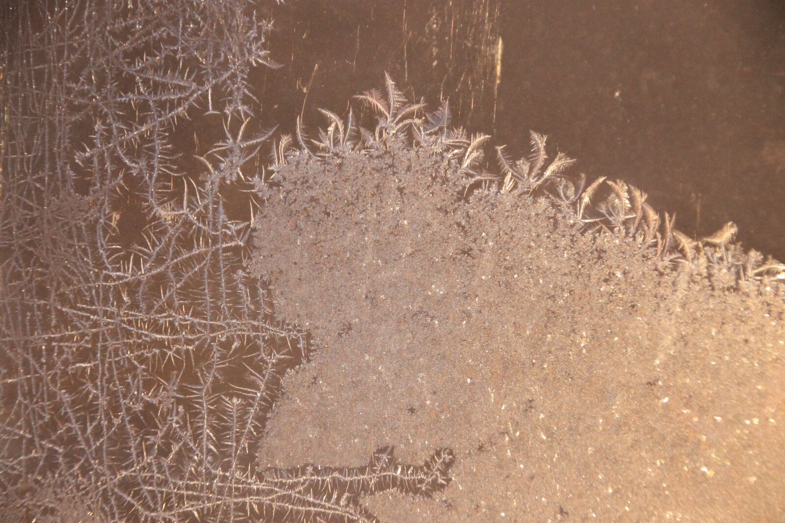 Canon EOS 1100D (EOS Rebel T3 / EOS Kiss X50) sample photo. Ice, frost, crystal photography