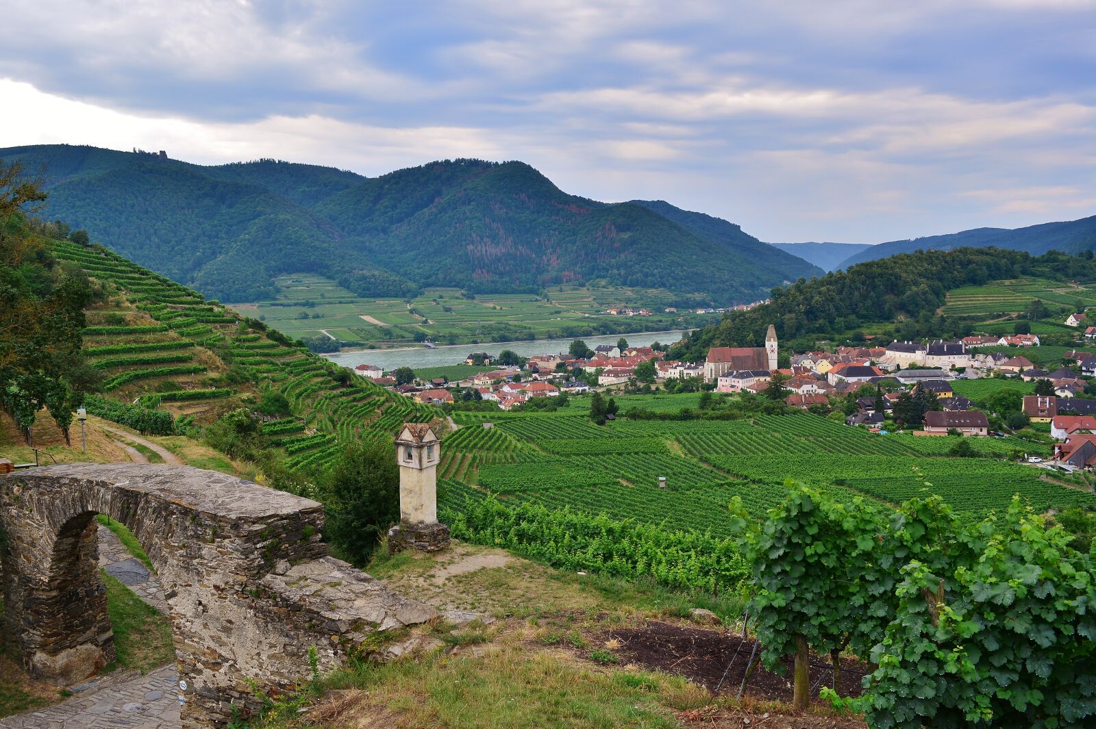 Nikon D5200 sample photo. Danube, wachau, vineyards photography