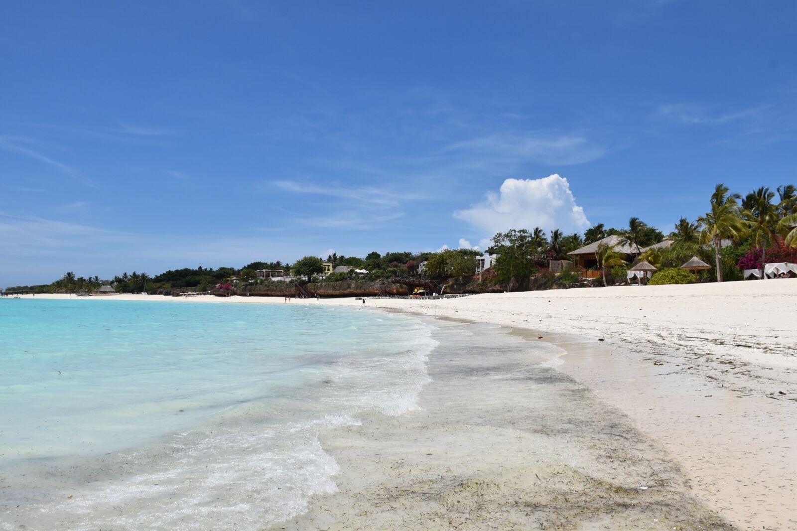 Nikon D5600 sample photo. Zanzibar, ocean, tropical photography