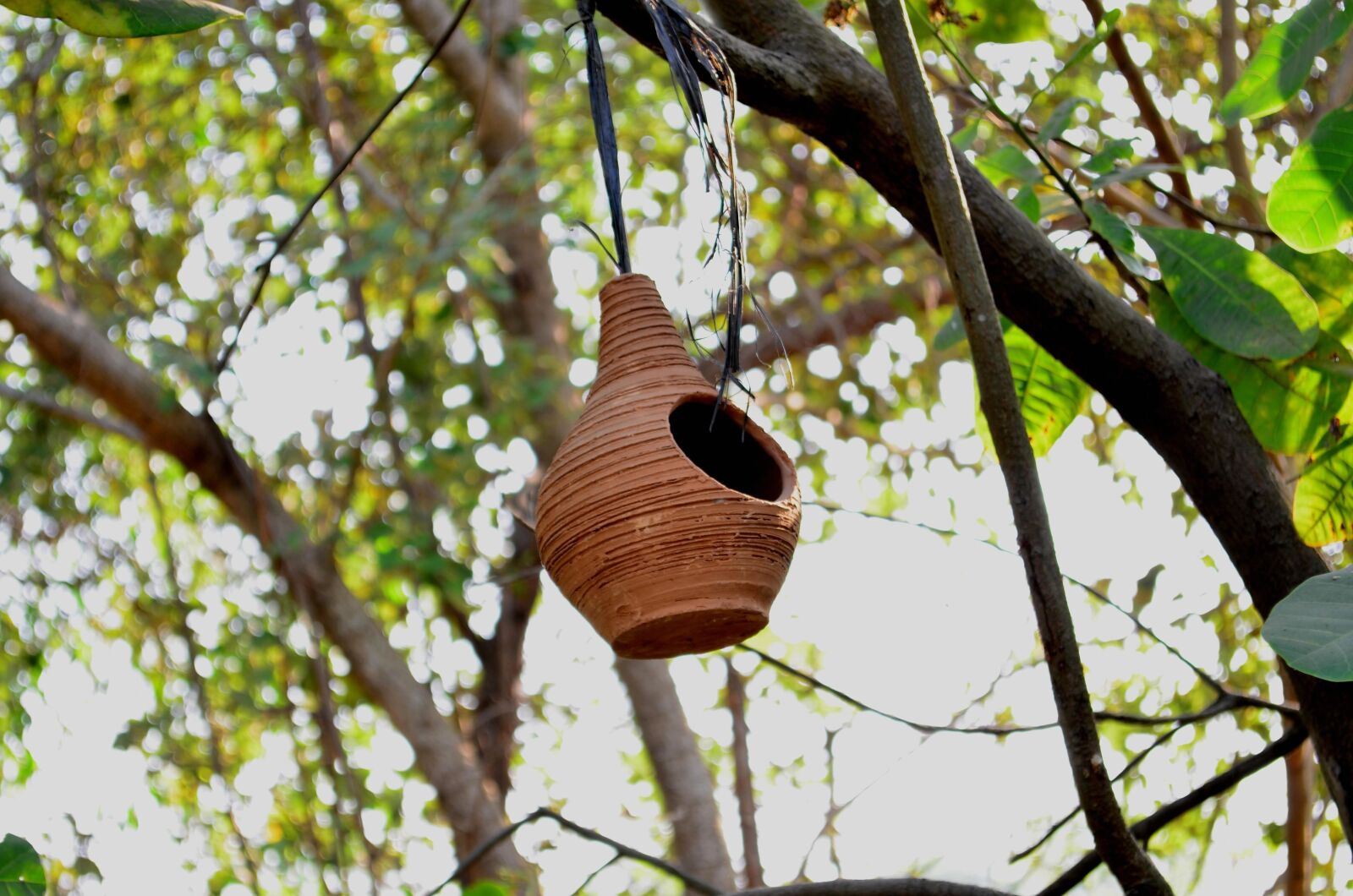 Nikon D5100 sample photo. Pottery, handmade, ceramic, hanging photography
