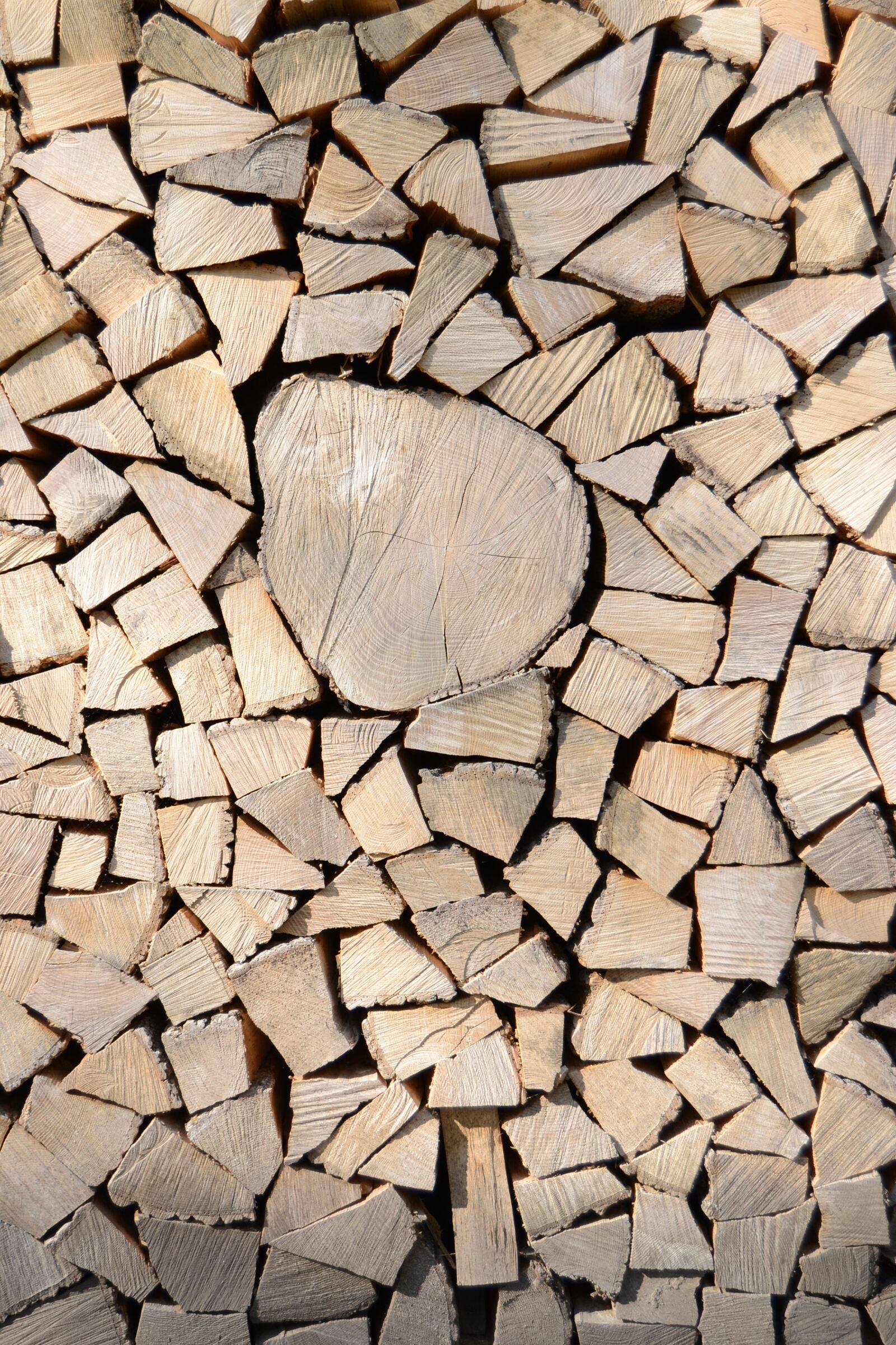 Nikon D3100 sample photo. Holzstapel, holz, texture photography