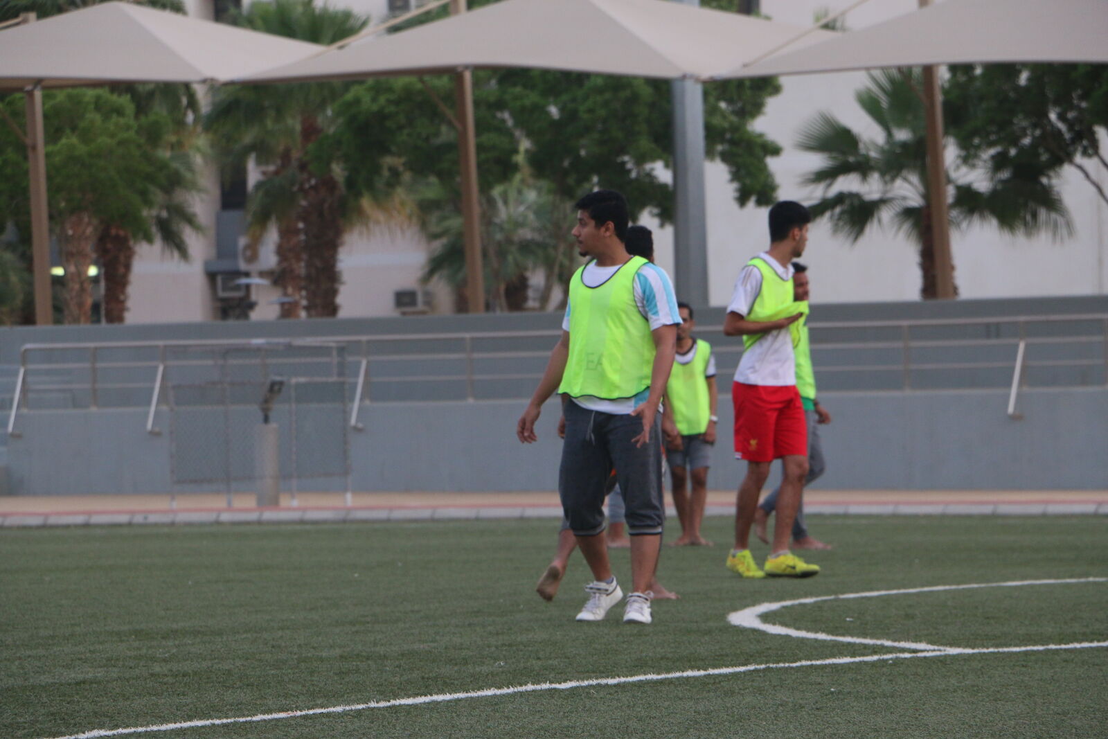 Canon EOS 70D sample photo