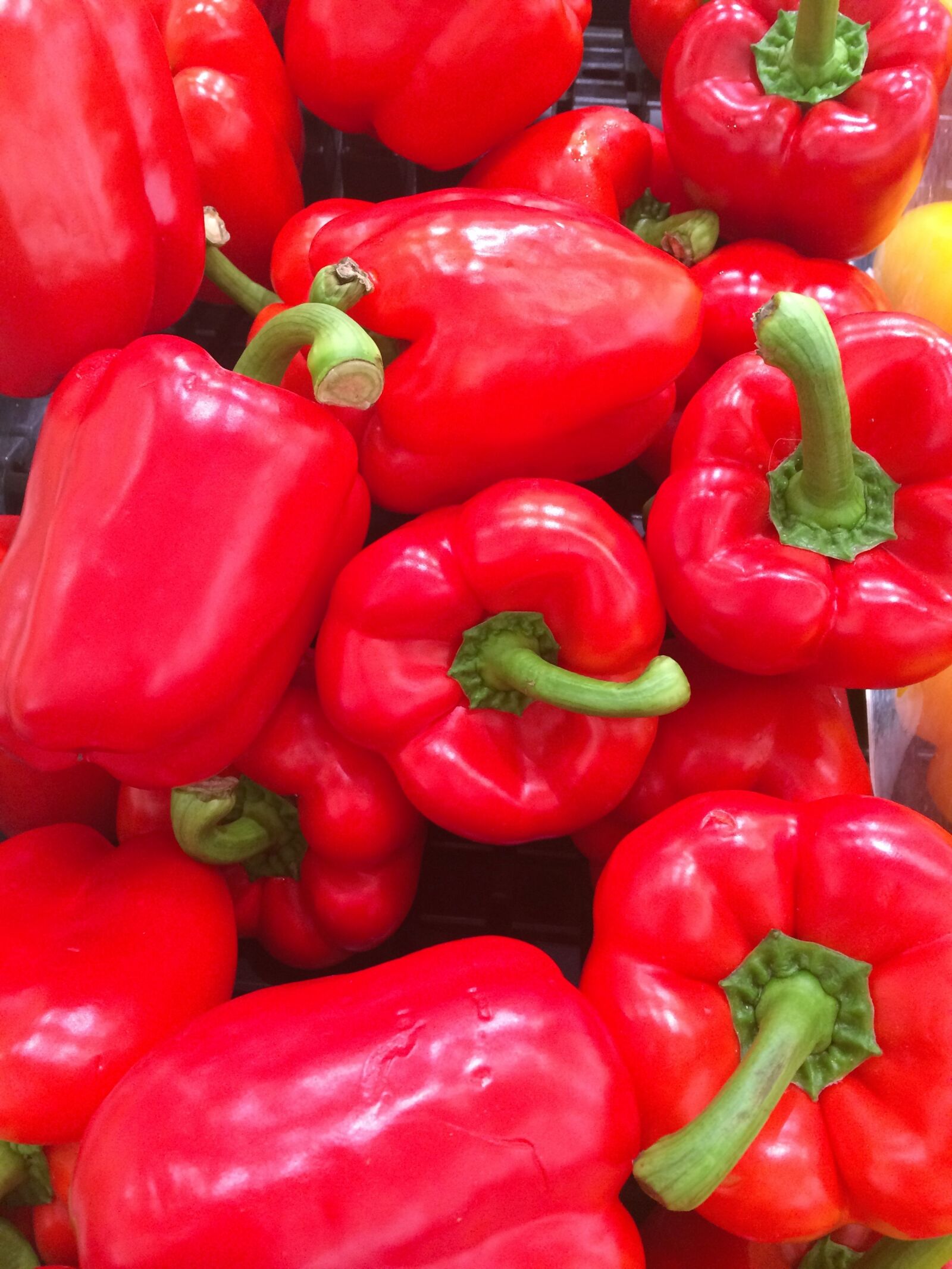 iPhone 5s back camera 4.15mm f/2.2 sample photo. Paprika, red, seiyu ltd photography