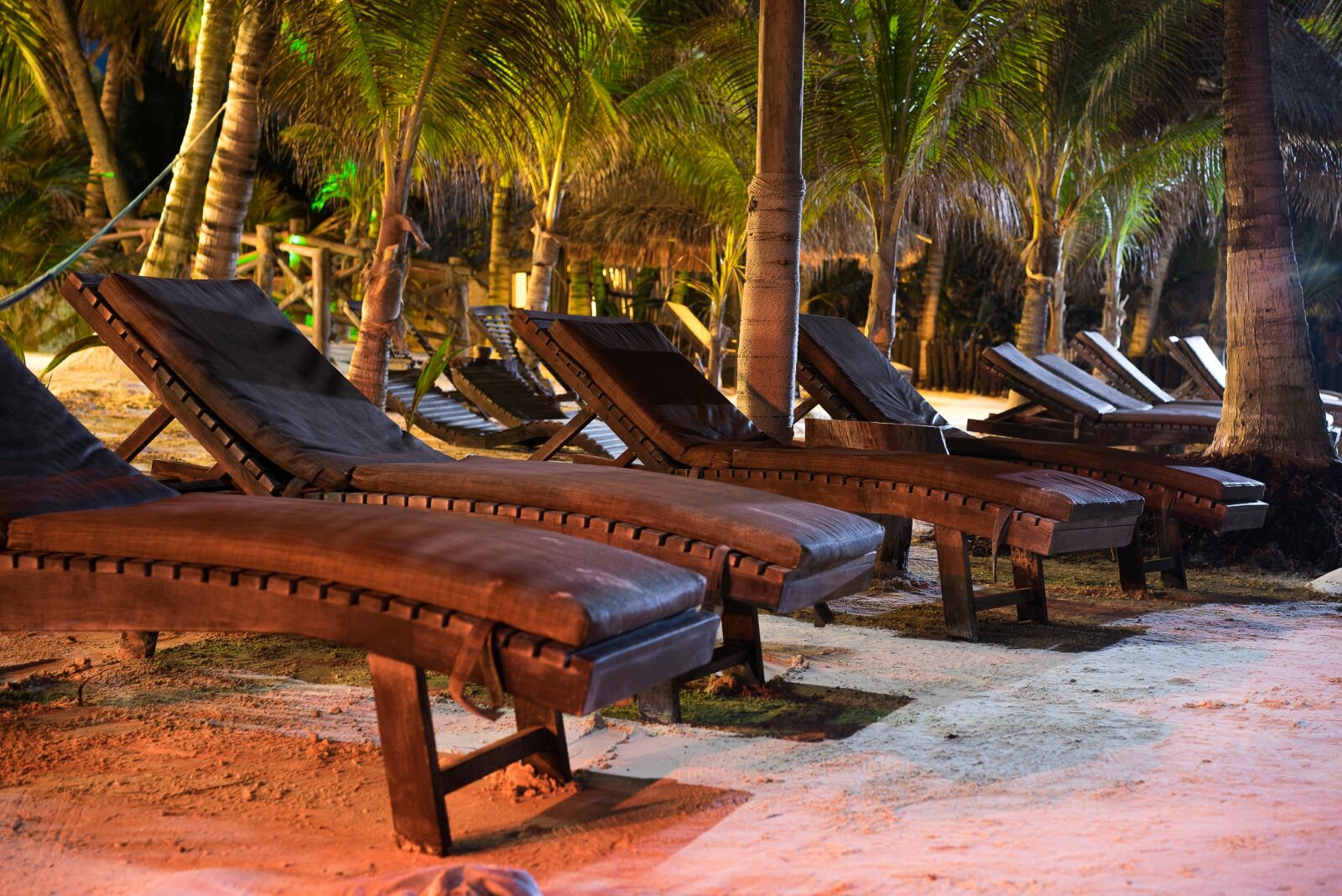 Sony a7R + Sony Sonnar T* FE 55mm F1.8 ZA sample photo. Beach, palms, sand photography