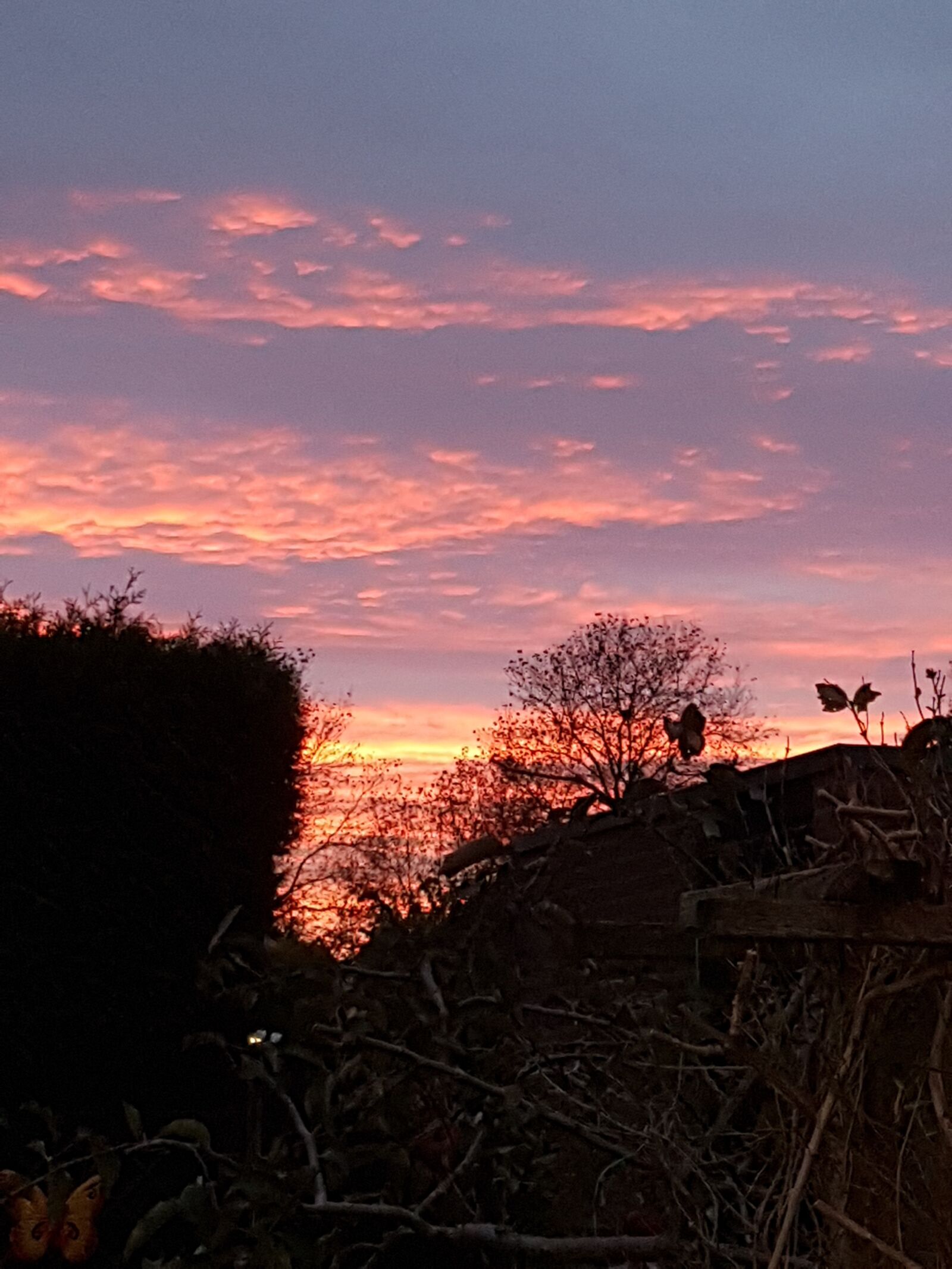 Samsung Galaxy S7 Edge sample photo. Sunset, red sky, clouds photography
