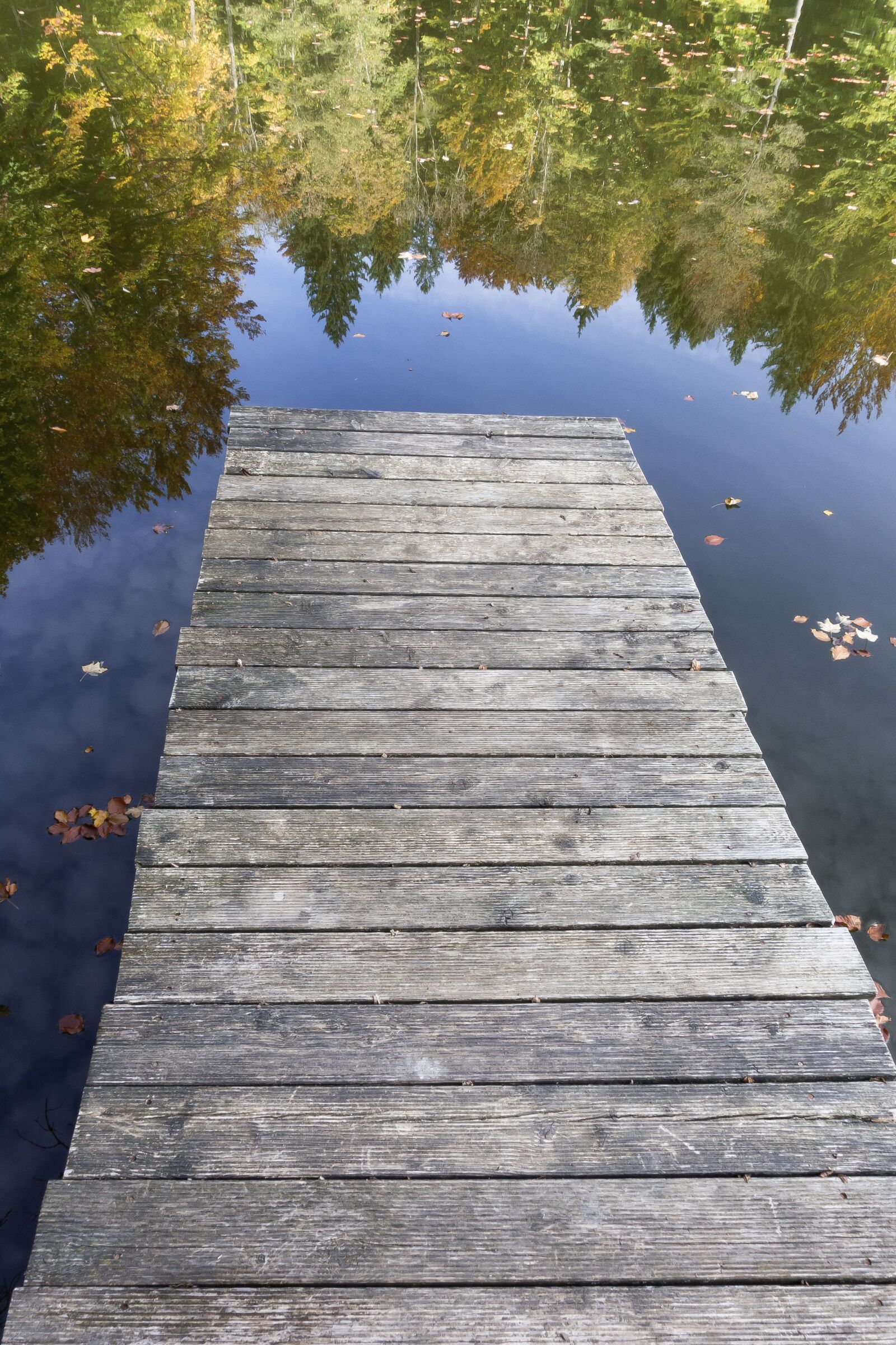 Sony Cyber-shot DSC-RX100 III sample photo. Web, boardwalk, lake photography