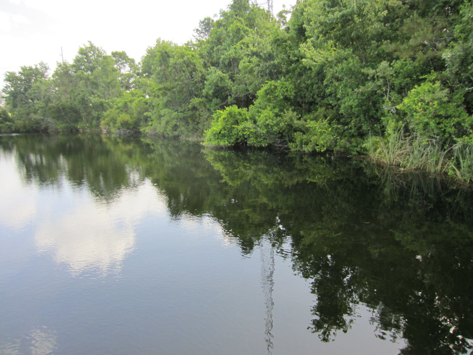 Canon PowerShot ELPH 300 HS (IXUS 220 HS / IXY 410F) sample photo. Albero, aqua, lago, lake photography