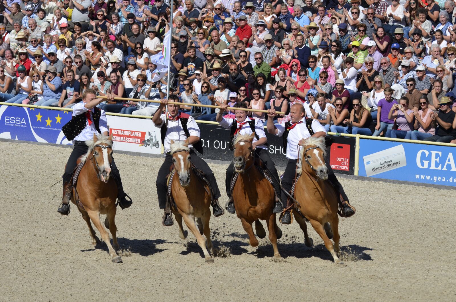 Nikon D5100 sample photo. Haflinger, western, games photography