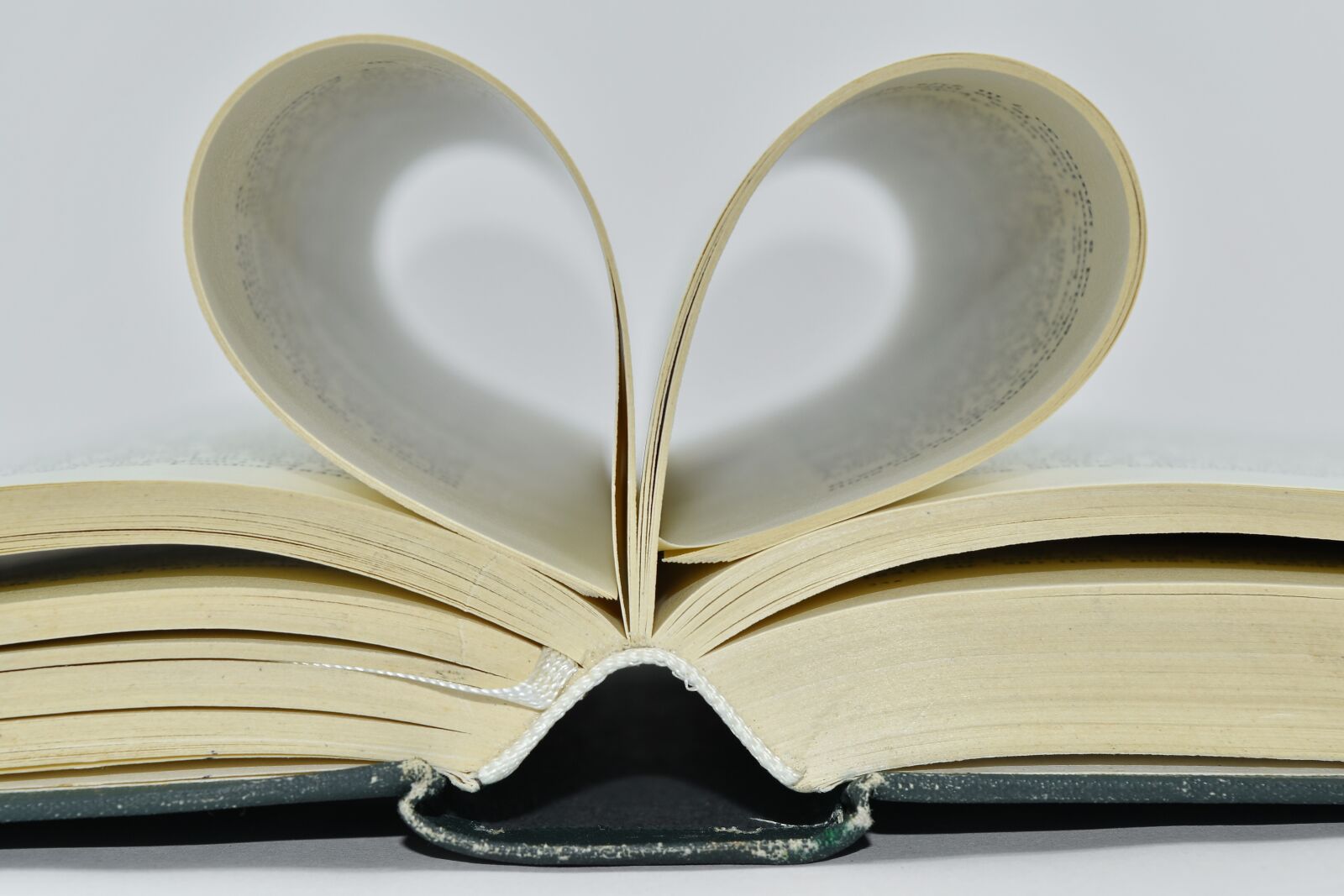 Nikon D5500 sample photo. Book, page, paper, reading photography