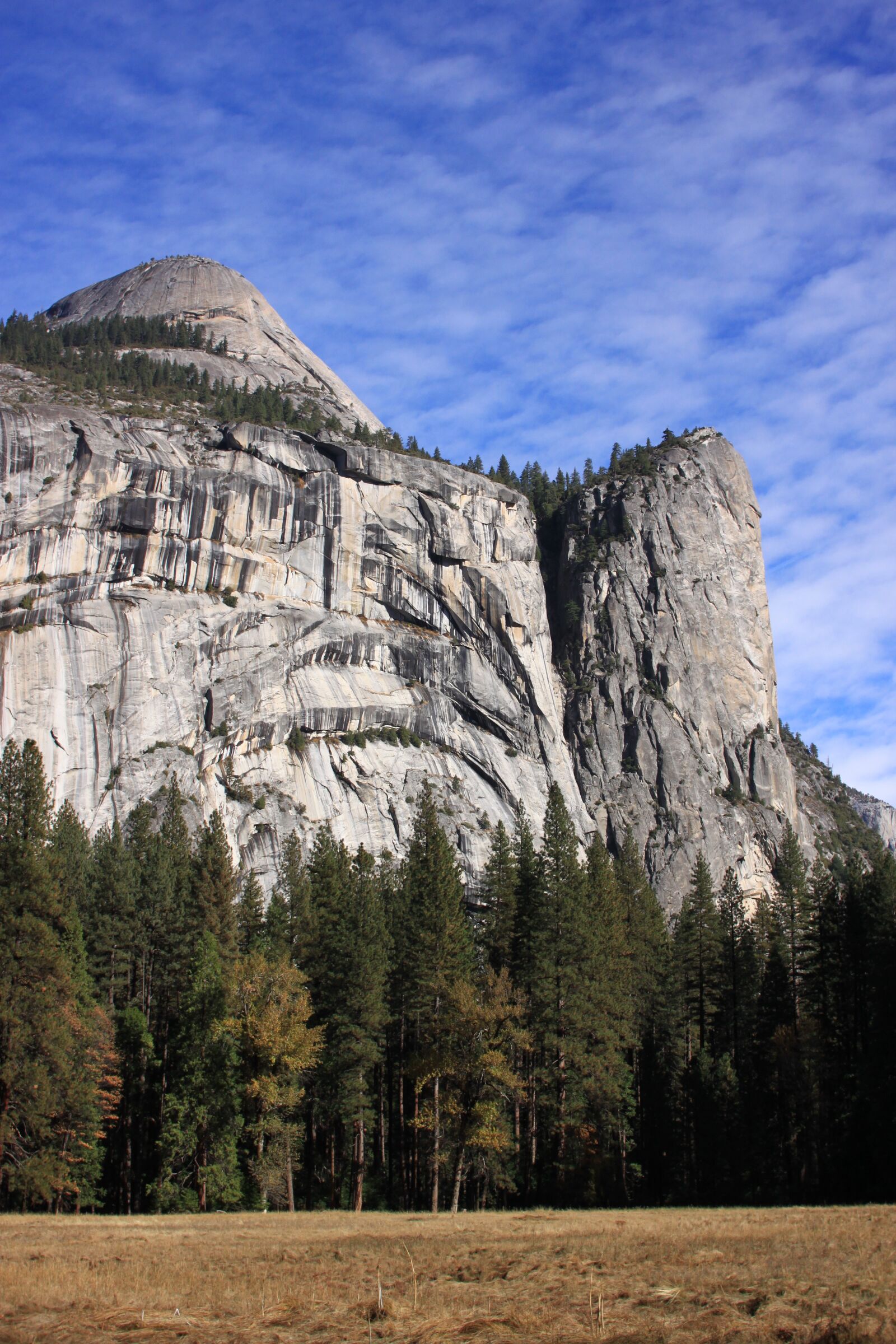 Canon EOS 500D (EOS Rebel T1i / EOS Kiss X3) sample photo. Yosemite, national park, wood photography