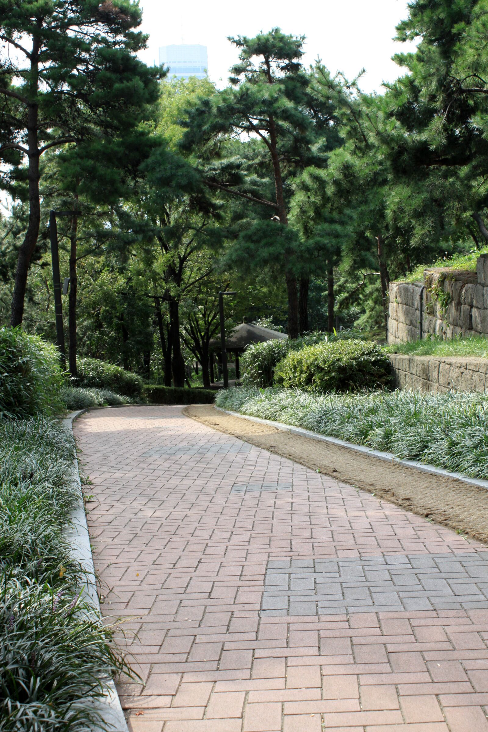 Canon EOS 50D sample photo. Street, road, nature photography