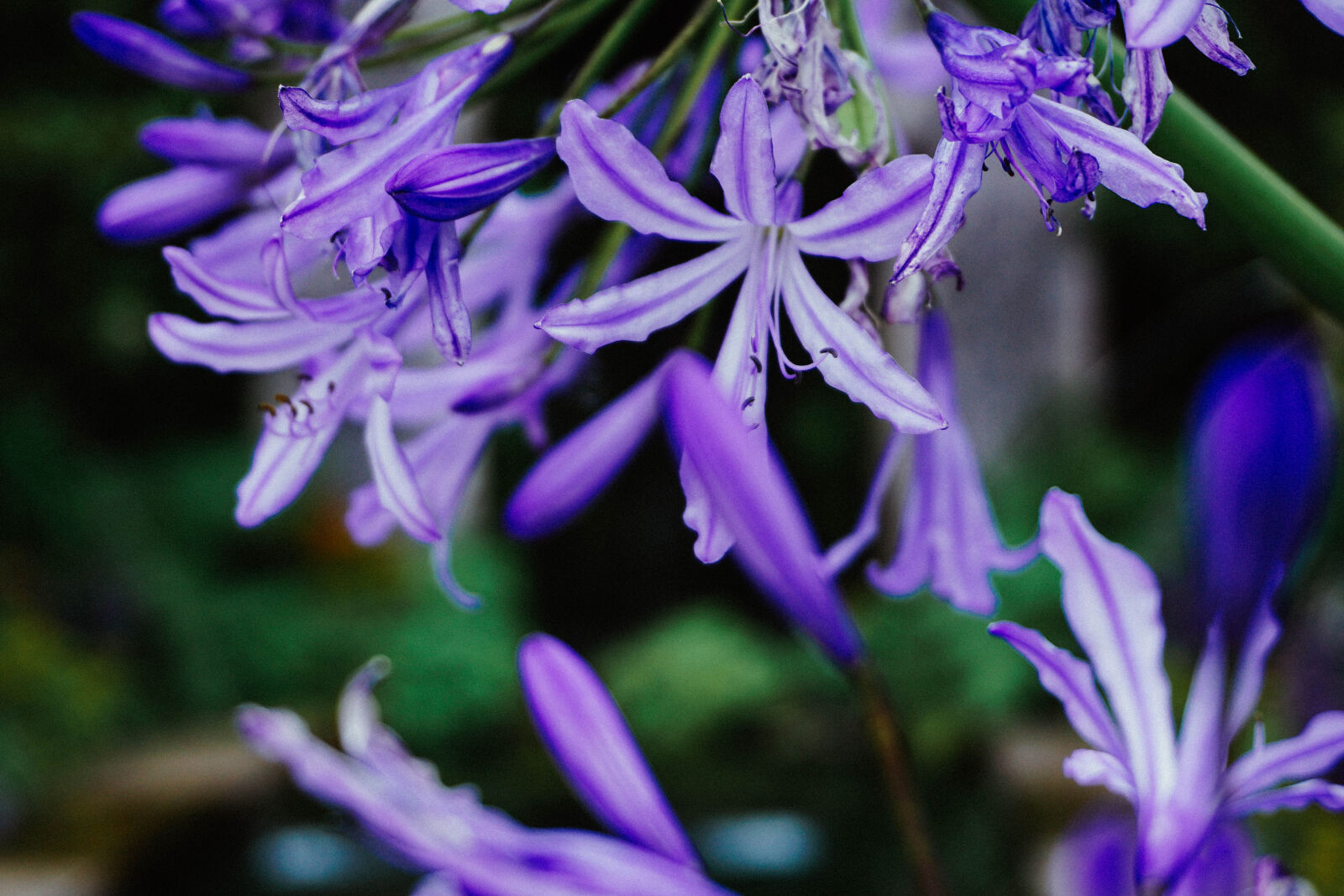 Sony a6000 sample photo