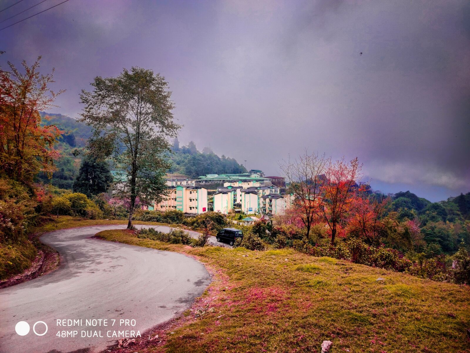 Xiaomi Redmi Note 7 Pro sample photo. Autumn, forest, tree photography