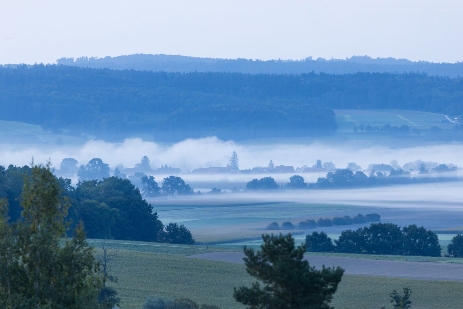 Canon EOS R sample photo. Mist, morning, mood photography