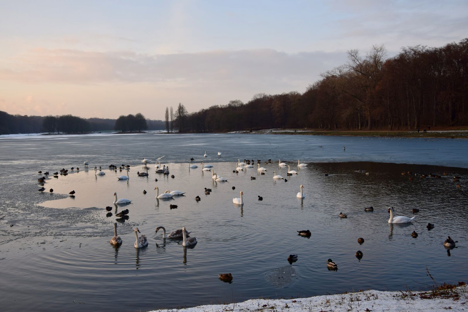 Nikon D3300 sample photo. Wintry, season, frozen lake photography