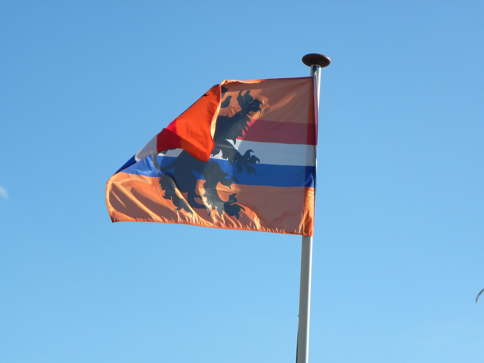 Nikon Coolpix P90 sample photo. Flag, holland, orange photography