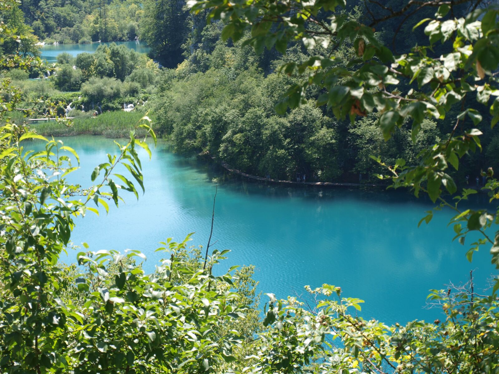Olympus E-520 (EVOLT E-520) sample photo. Plitvice, croatia, lake photography