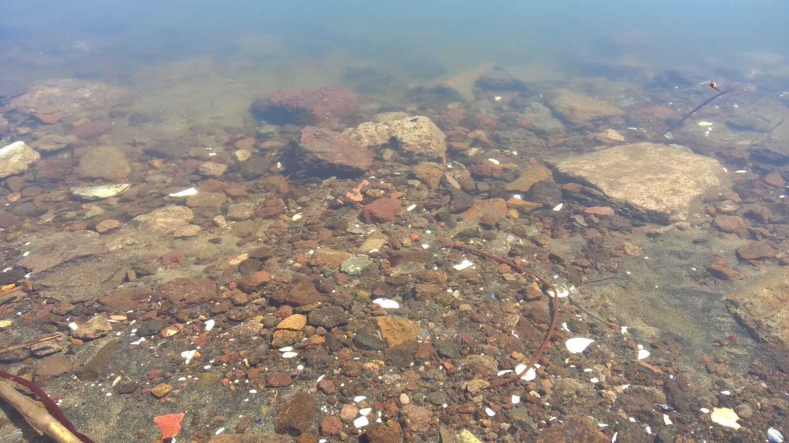 Microsoft Lumia 640 XL sample photo. Clear, river photography