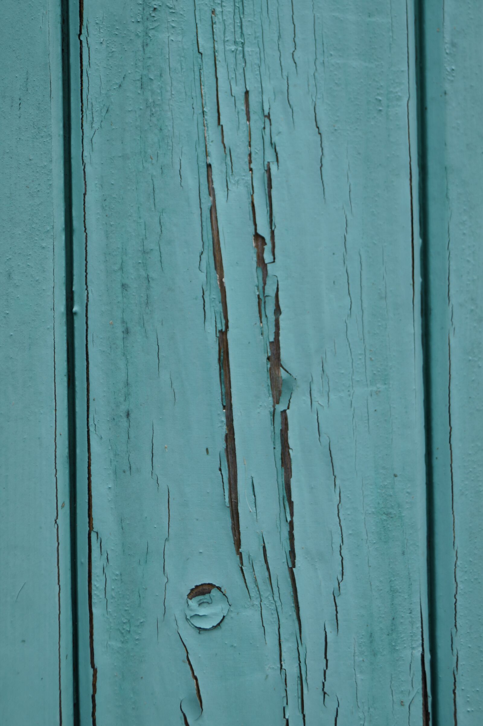 Sony DT 18-55mm F3.5-5.6 SAM II sample photo. Wood, green, texture photography