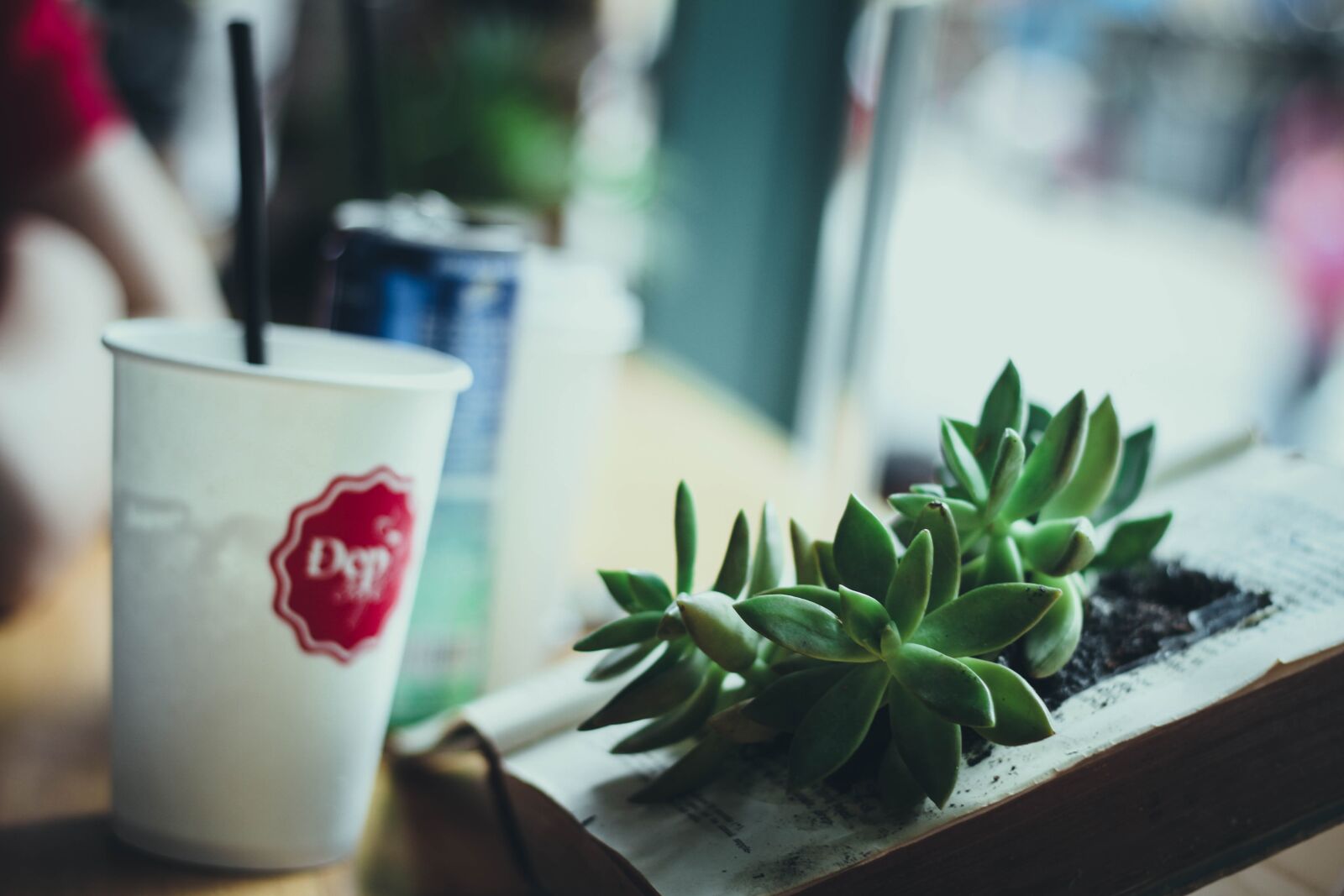 Canon EOS 7D + Canon EF 50mm F1.8 II sample photo. Coffee, creative, cup photography