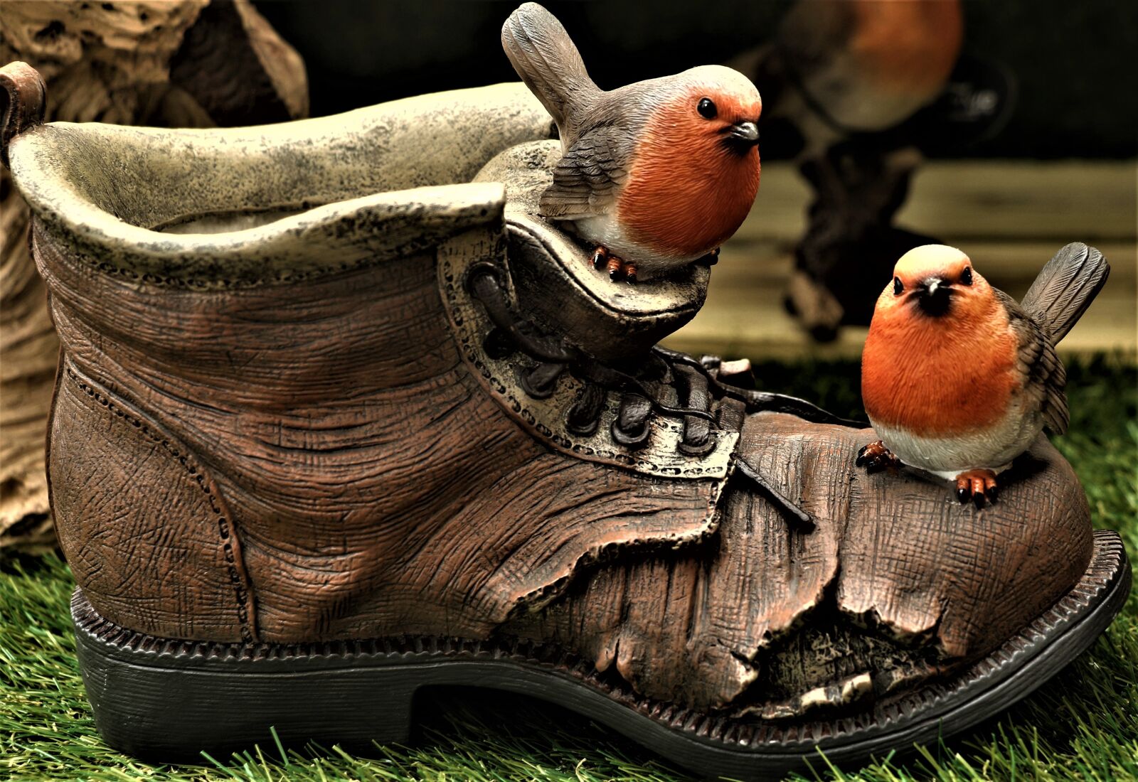 Canon EOS 7D Mark II sample photo. Robin, shoe, boot photography