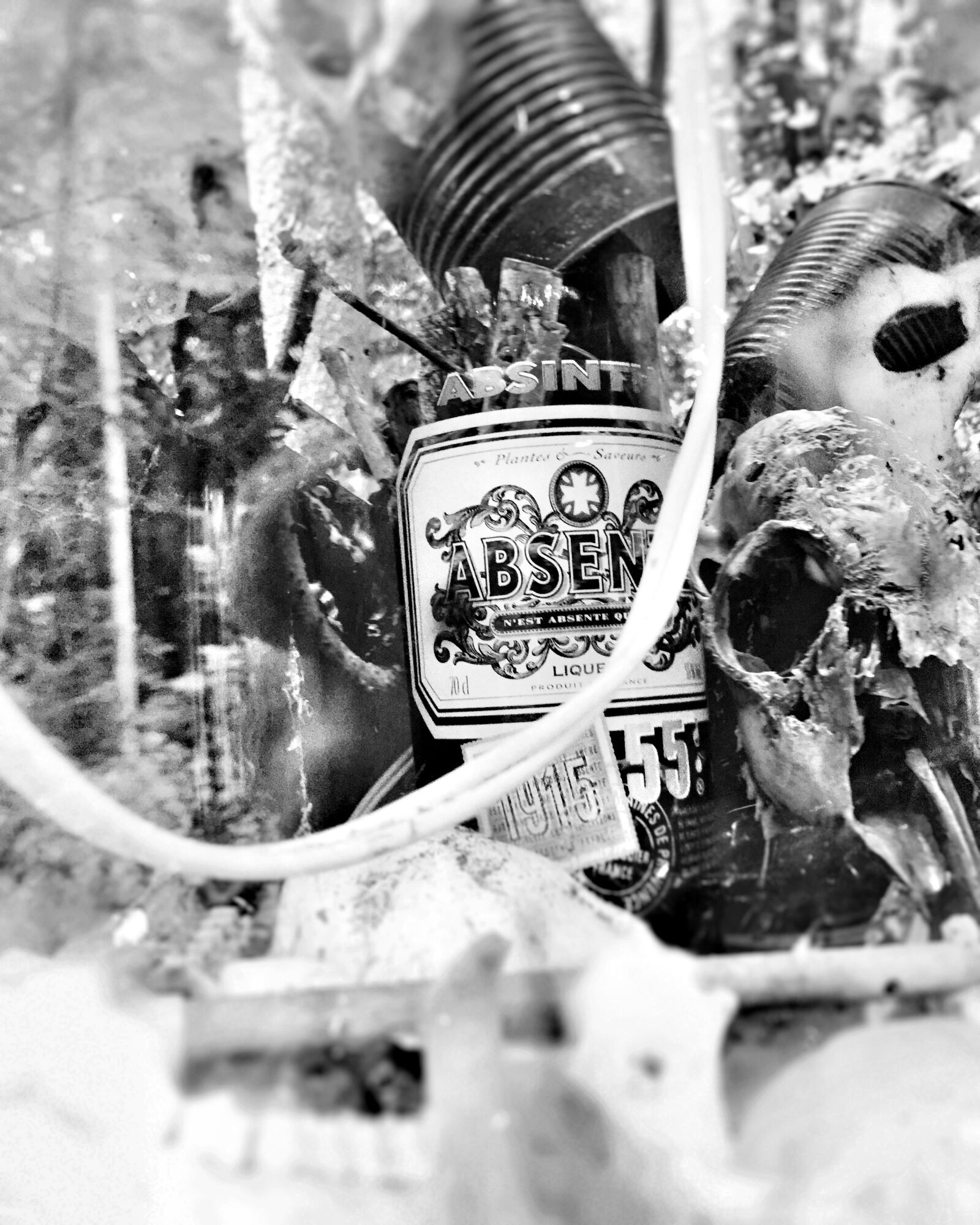 Apple iPhone 6 sample photo. Bone, shrine, forest photography