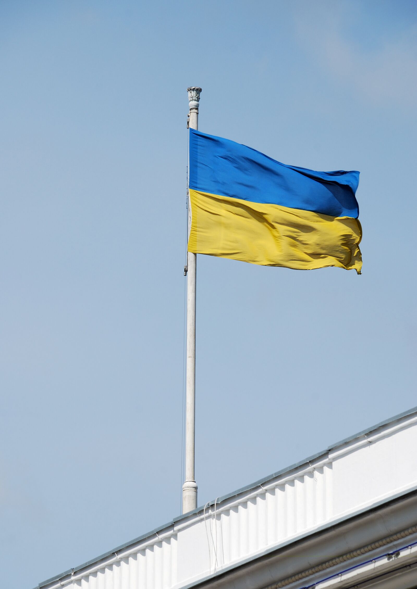 Nikon D80 sample photo. Flag, ukrainian, ukraine photography