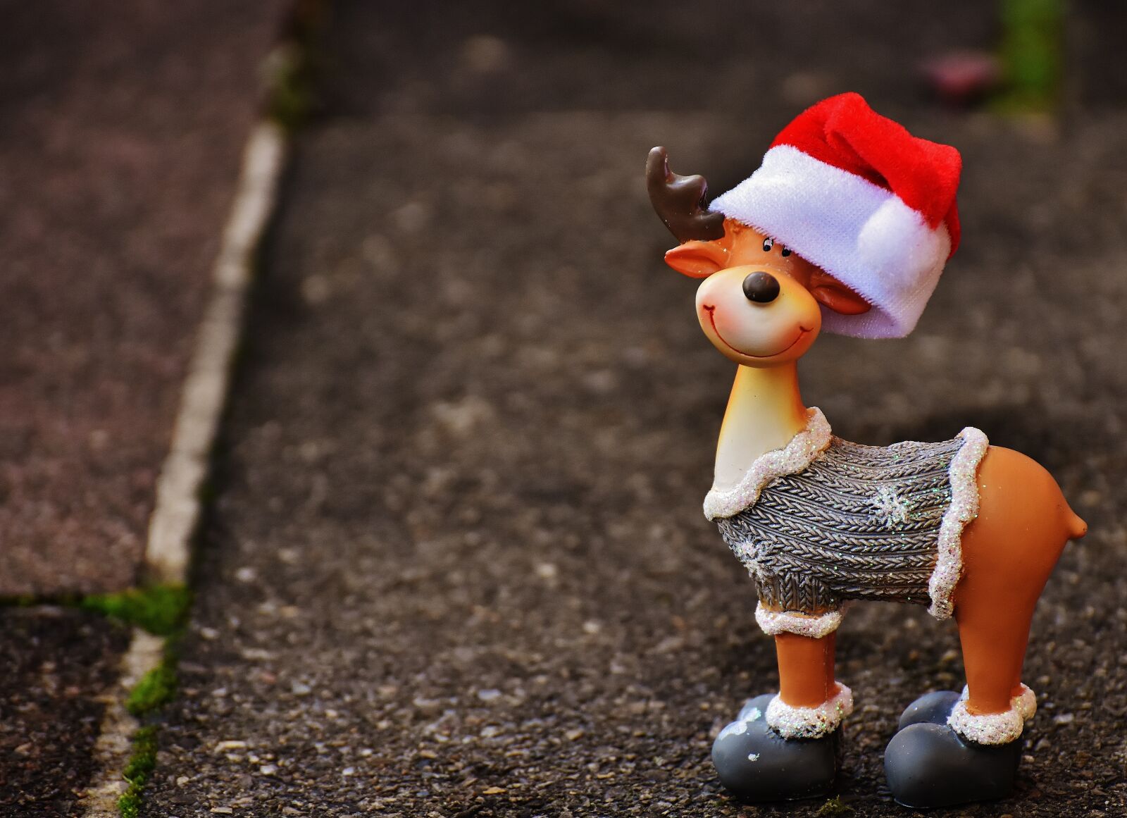 Nikon D7200 sample photo. Moose, christmas, christmas motif photography