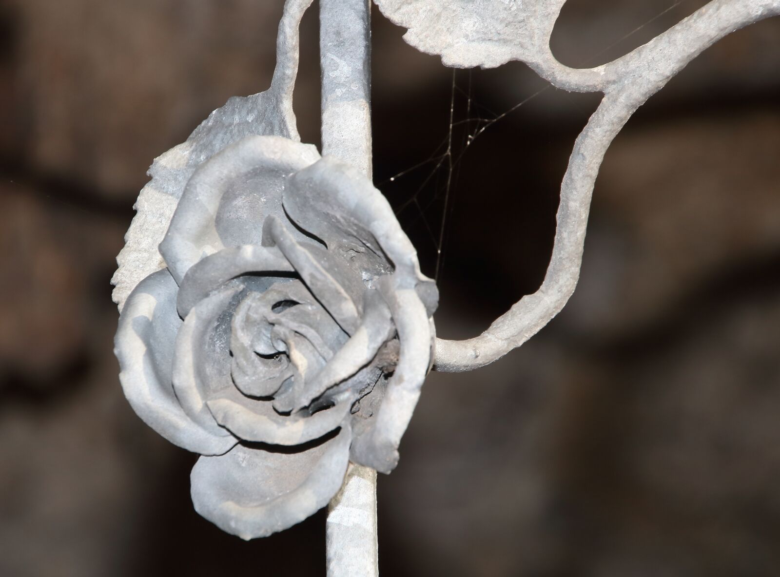 Canon EOS 750D (EOS Rebel T6i / EOS Kiss X8i) sample photo. Close up, flower, rose photography