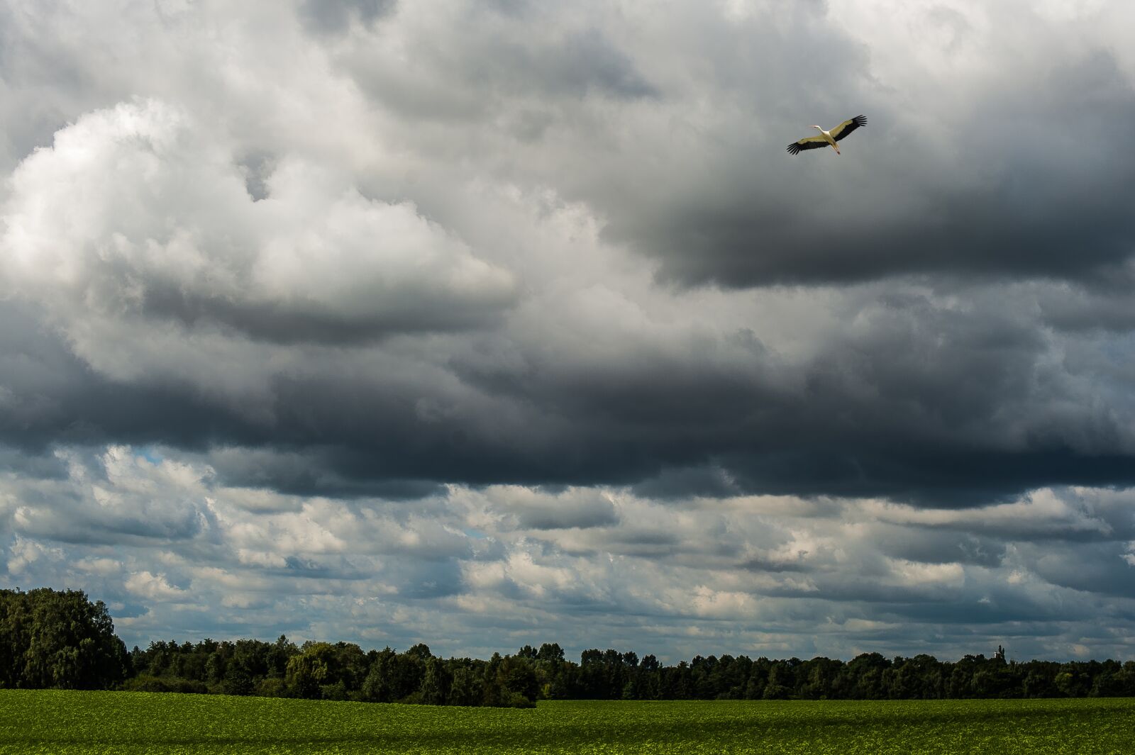 Nikon D700 sample photo. Sky, dramatic, clouds photography