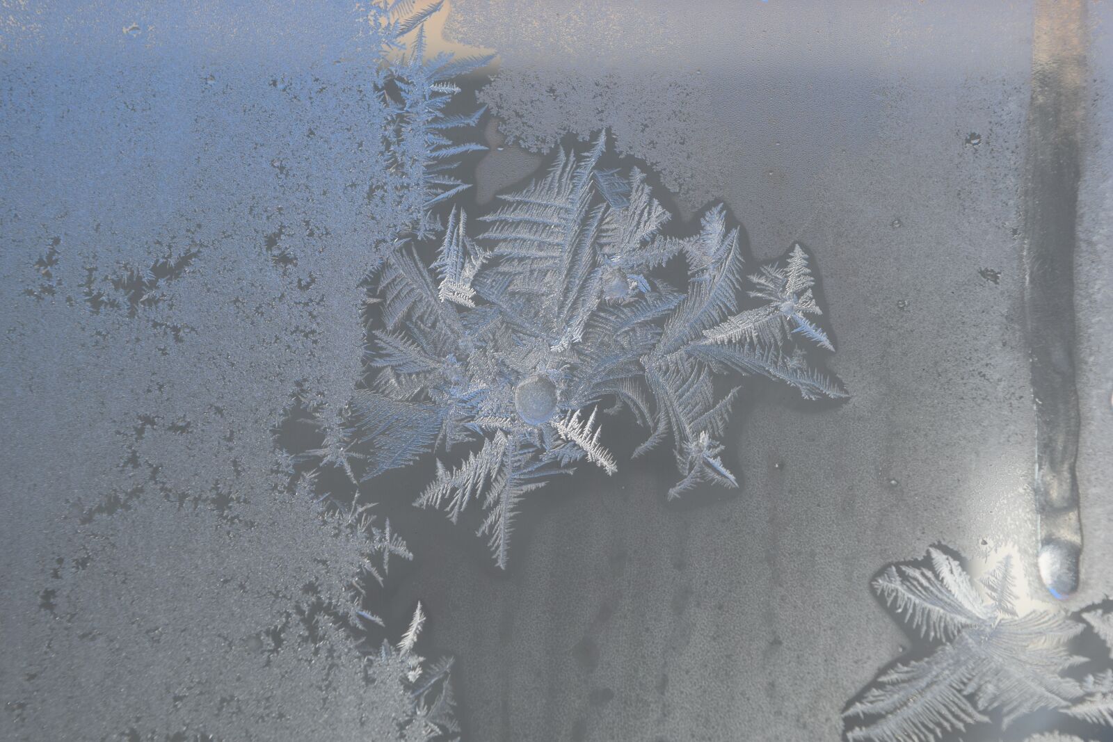 Nikon D3300 sample photo. Ice, snow, crystals photography