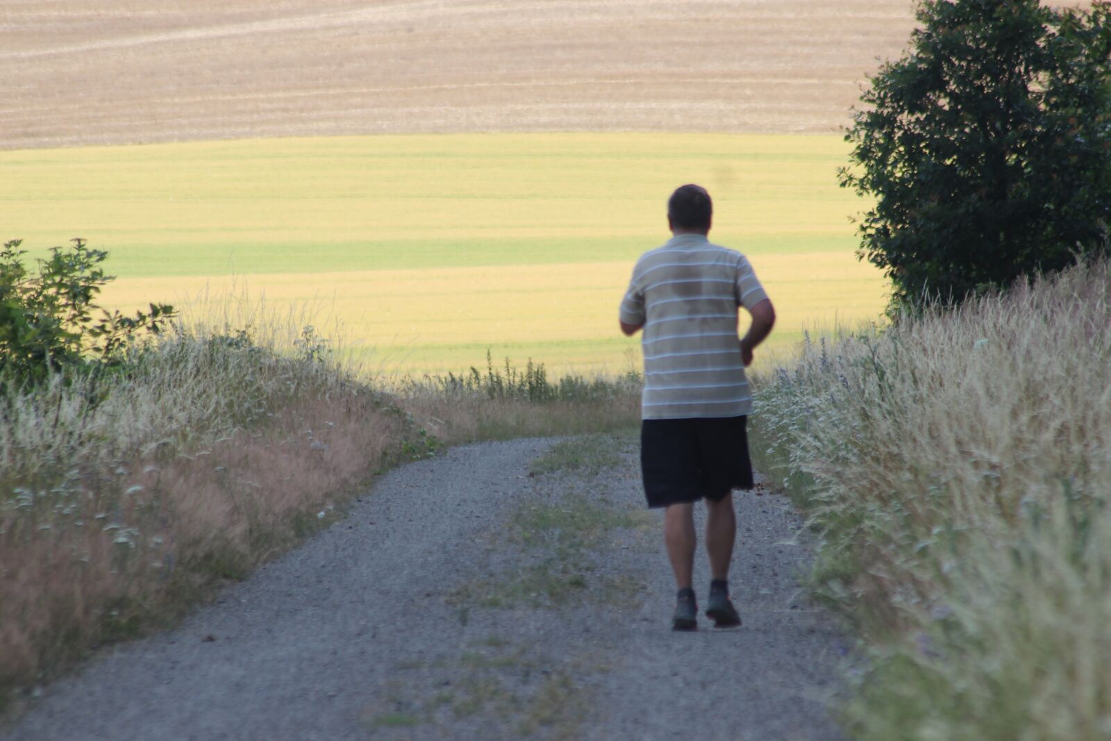 Canon EOS 600D (Rebel EOS T3i / EOS Kiss X5) sample photo. Jogger, run, fitness photography