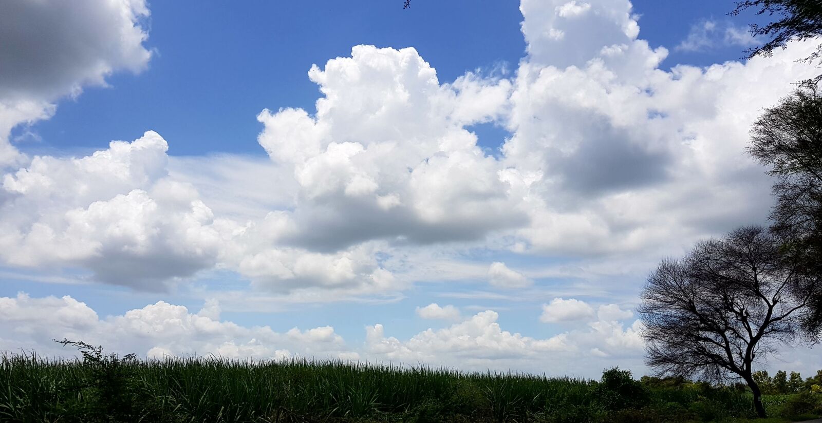 Samsung Galaxy S8 sample photo