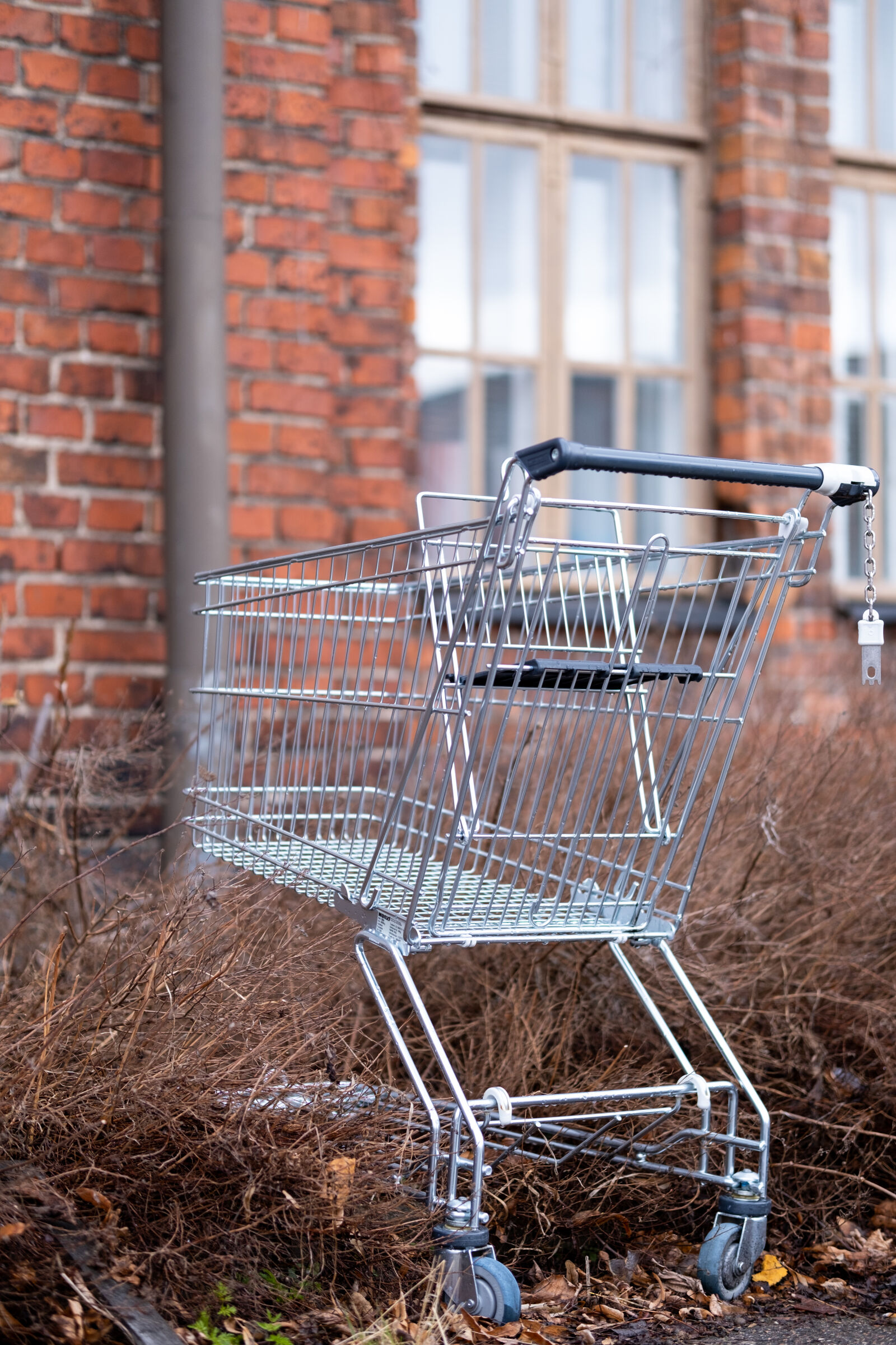 Sigma 56mm F1.4 DC DN | C sample photo. Lonesome shopping cart photography