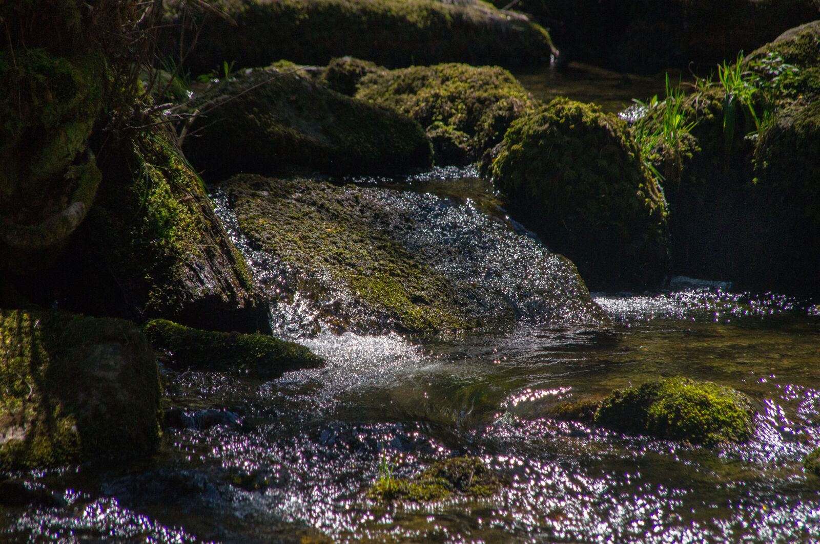 Sony SLT-A57 sample photo. Bach, torrent, waters photography