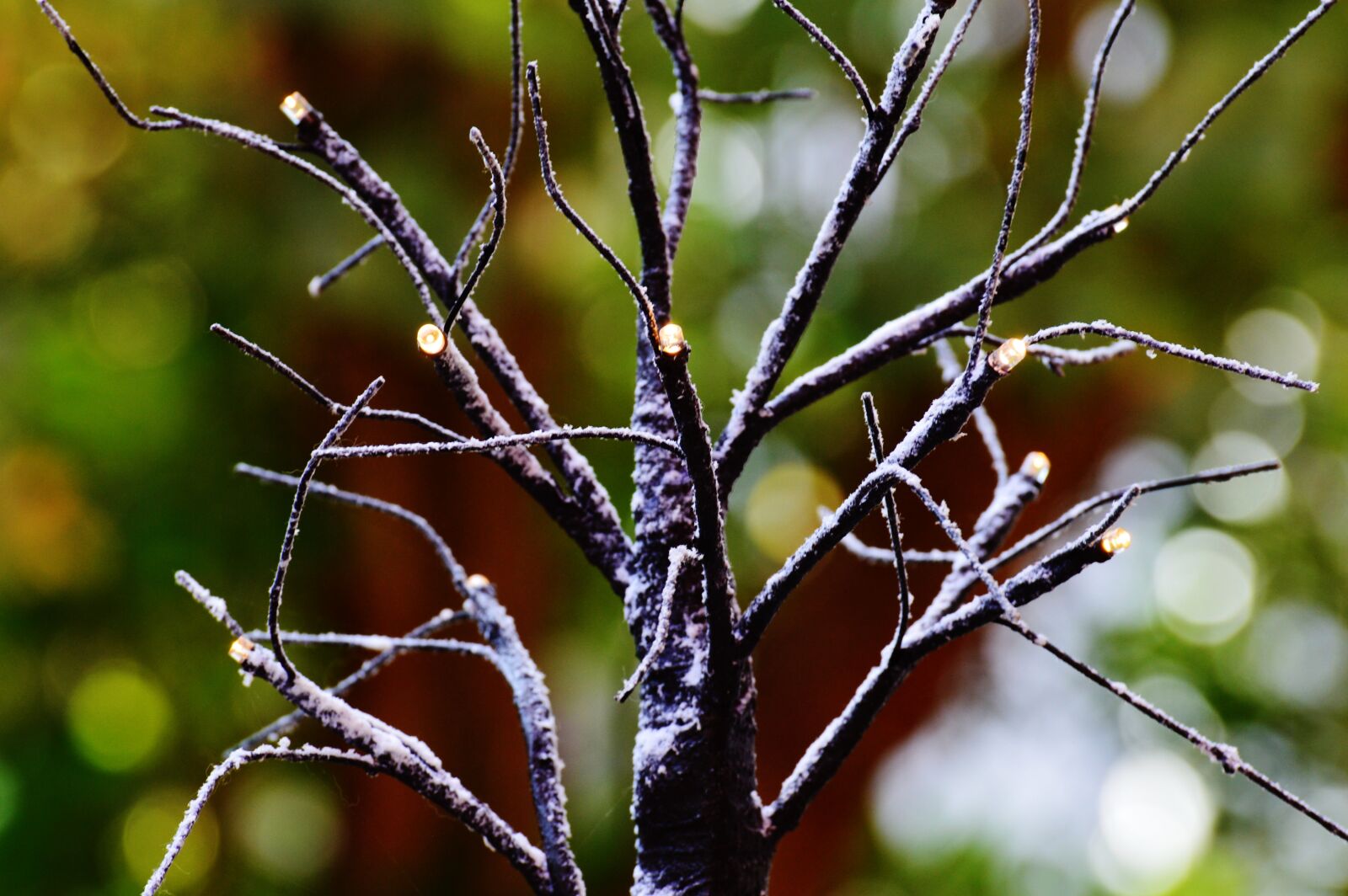 Nikon D3200 sample photo. Tree, aesthetic, winter photography