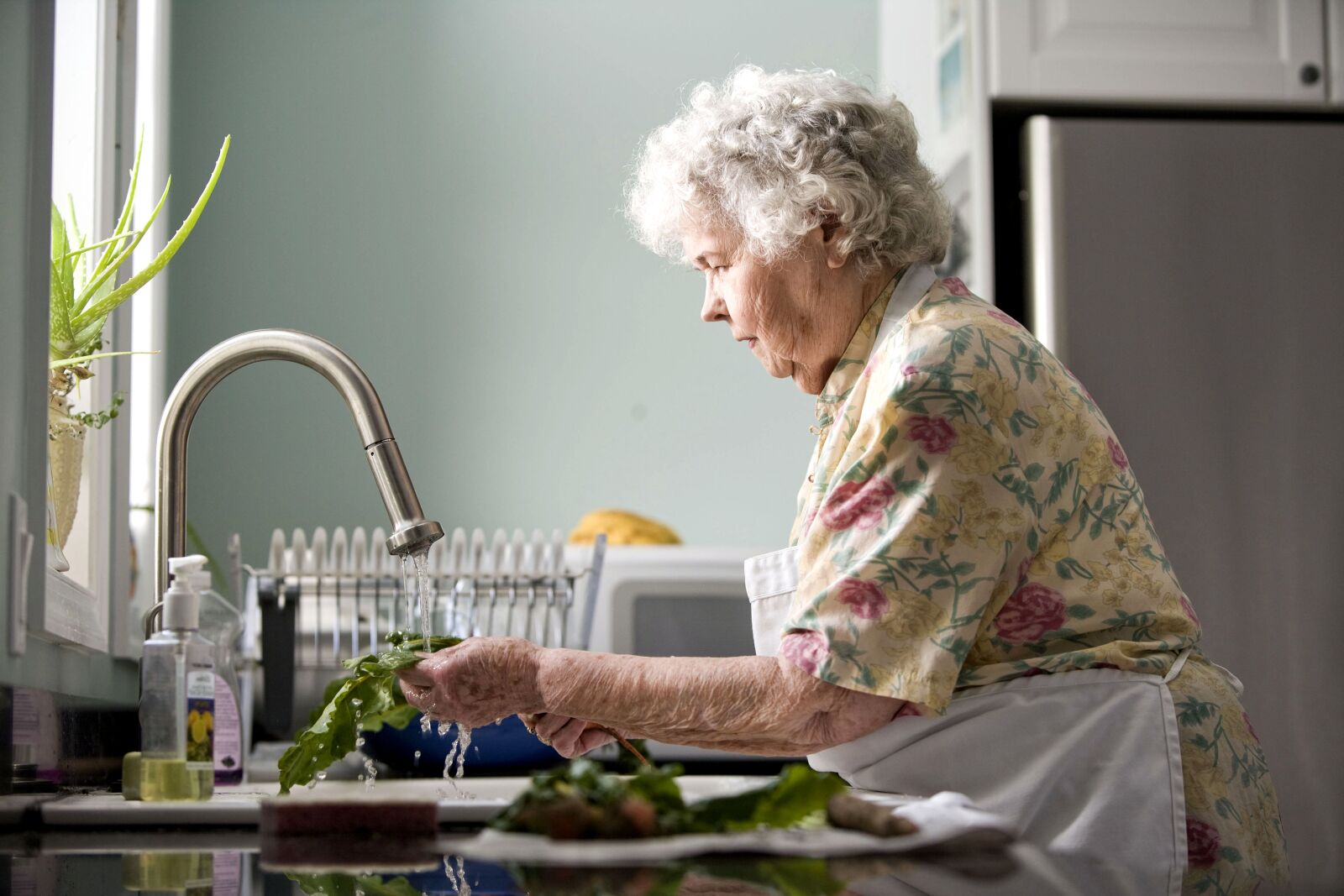 Canon EOS-1Ds Mark II sample photo. Elderly, woman, kitchen, cleaning photography